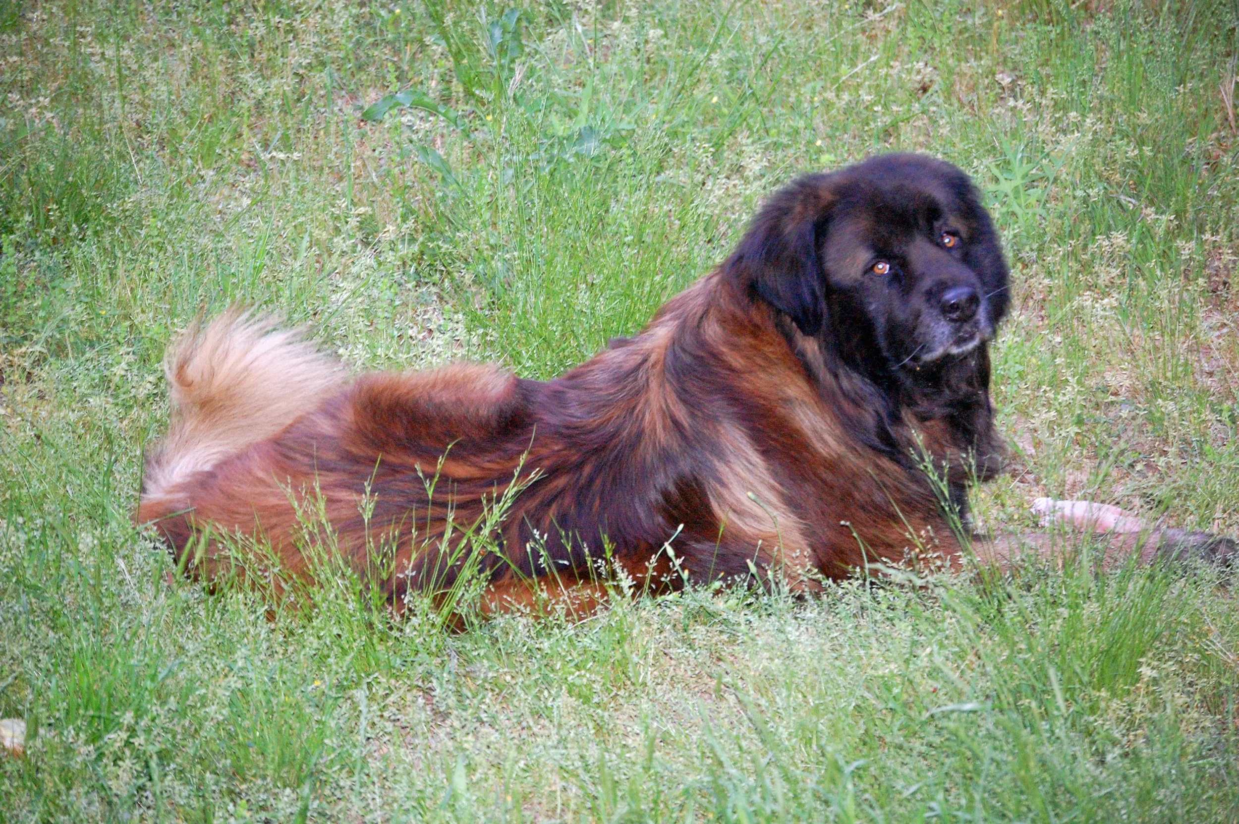 04 29_1184_edited-1.JPG