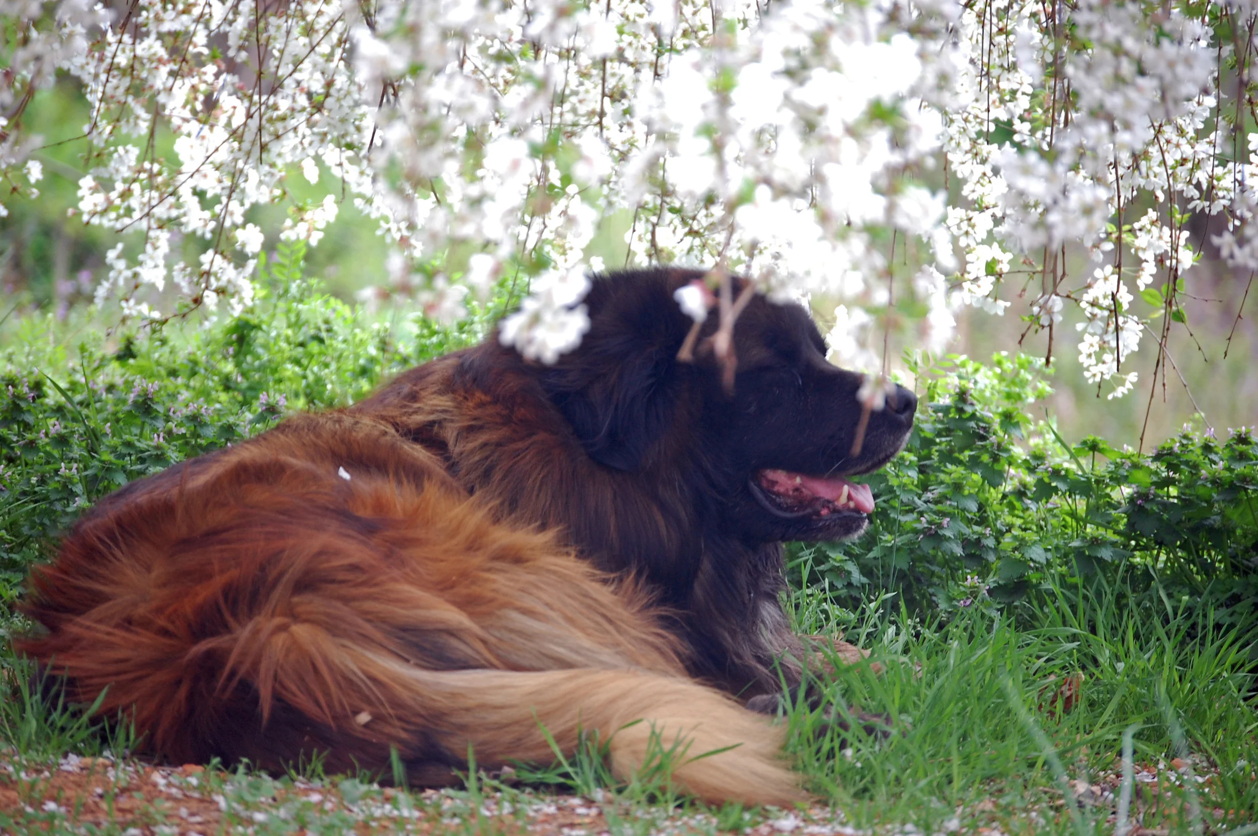 03 26_0238_edited-1.JPG