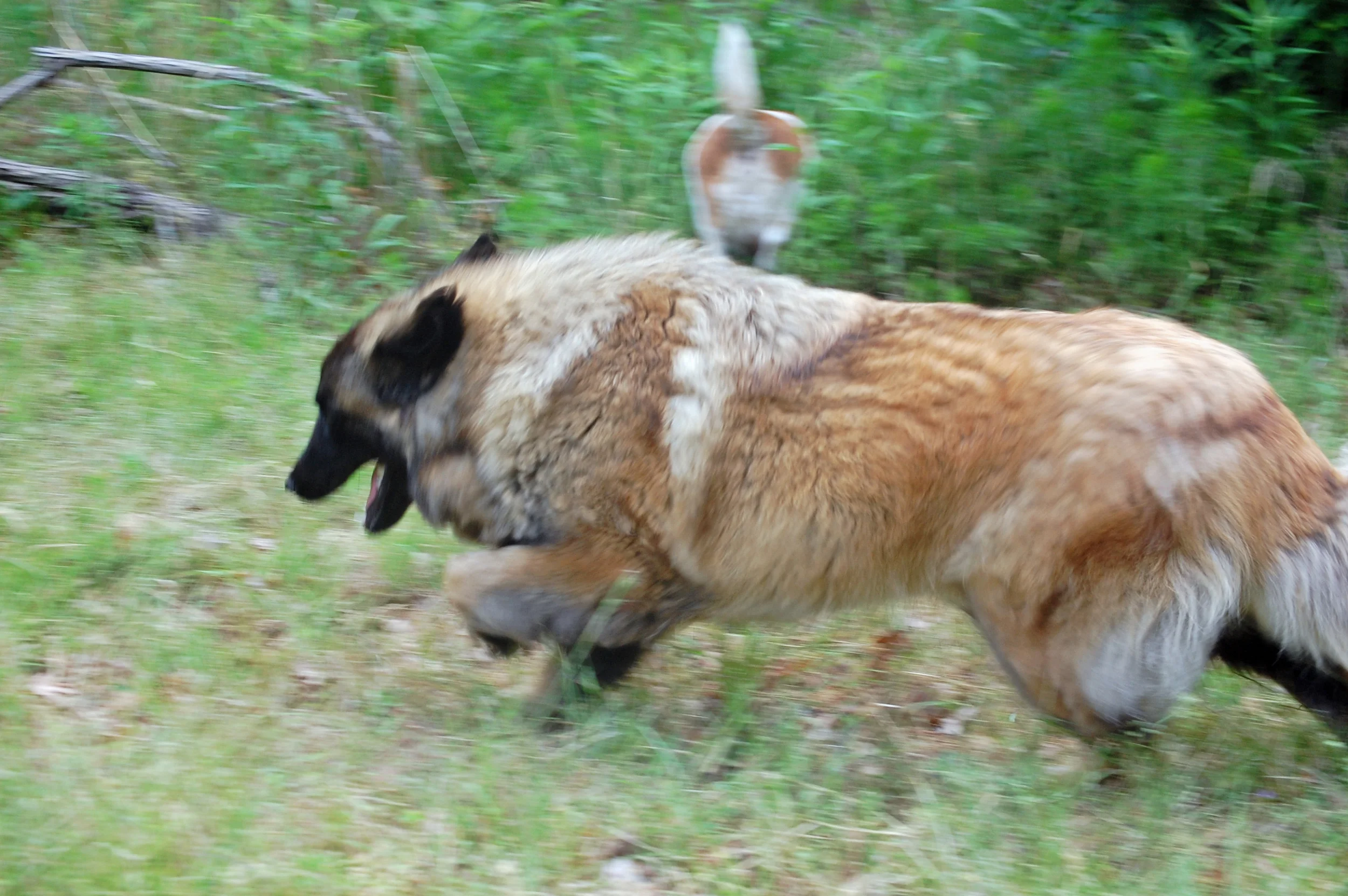 05 11_1511_edited-1.JPG