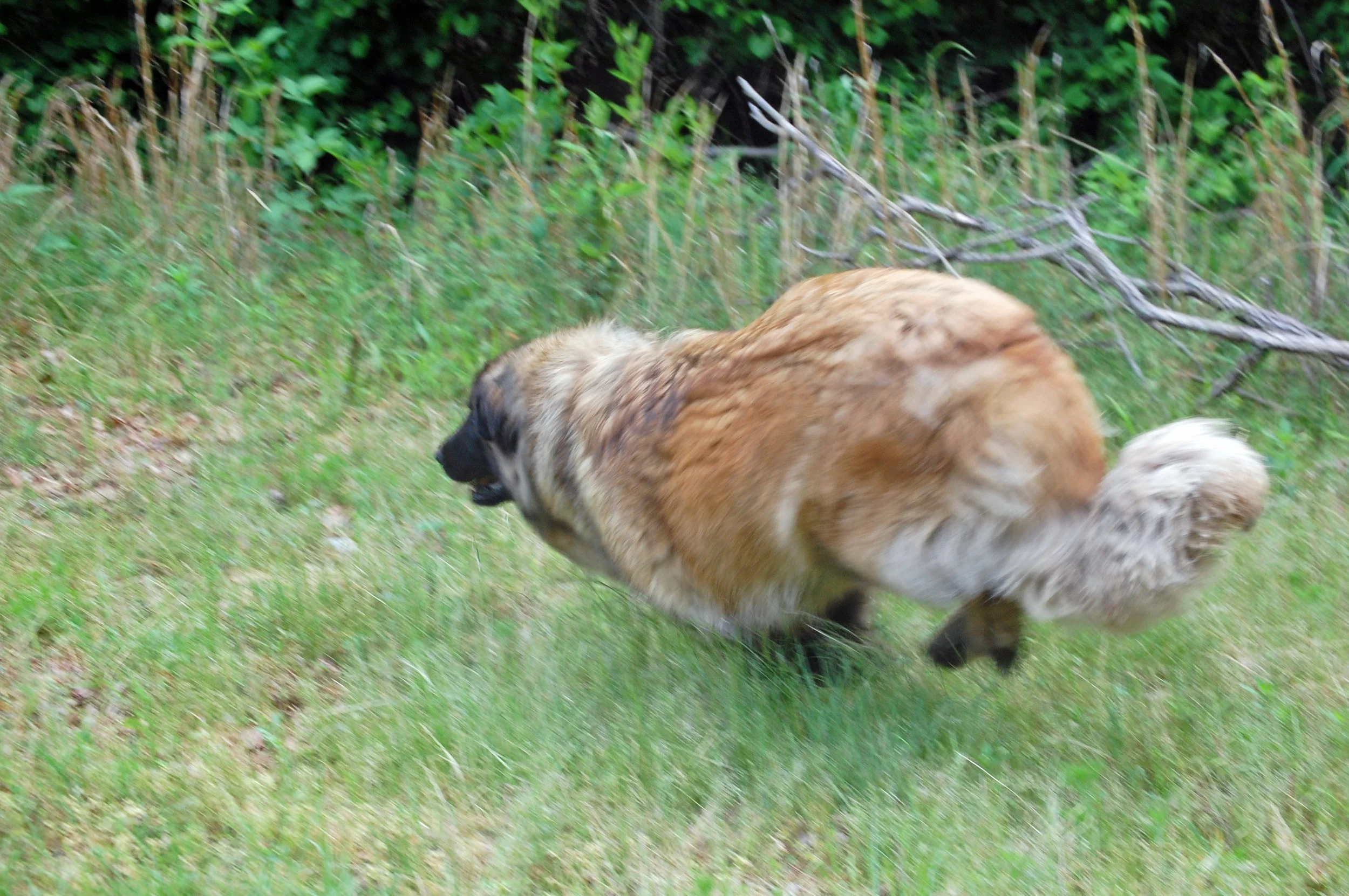 05 11_1512_edited-1.JPG