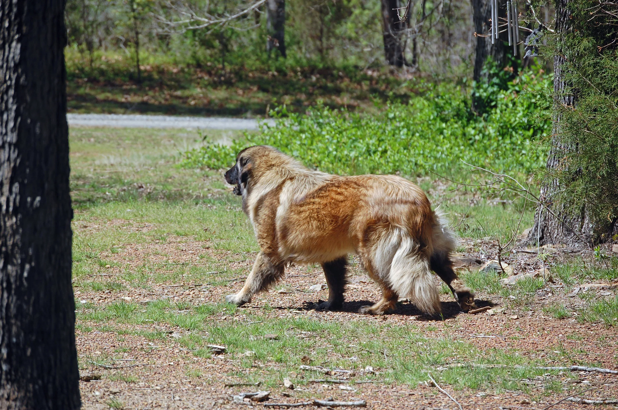 04 06_April 5, 2011_0904_edited-2.jpg