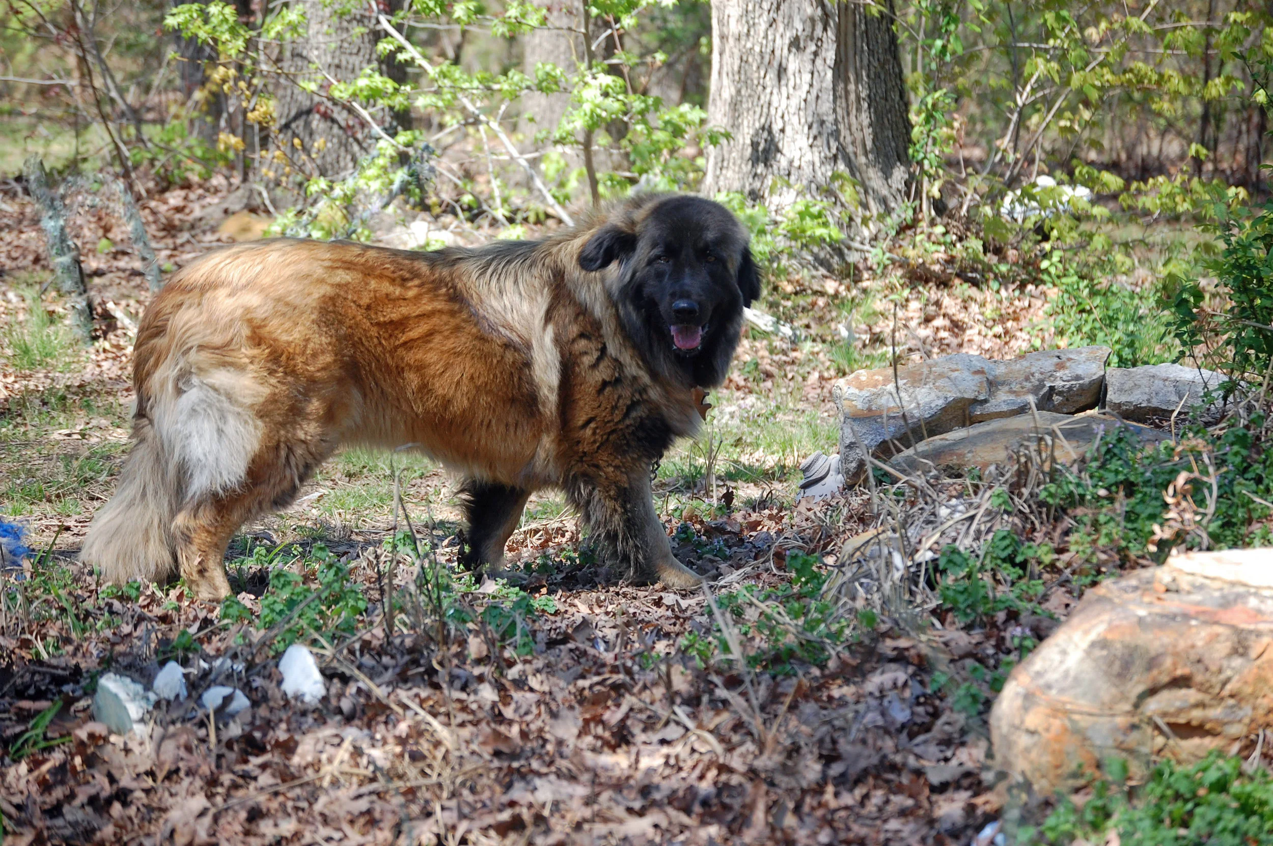 04 06_April 5, 2011_0918_edited-2.jpg