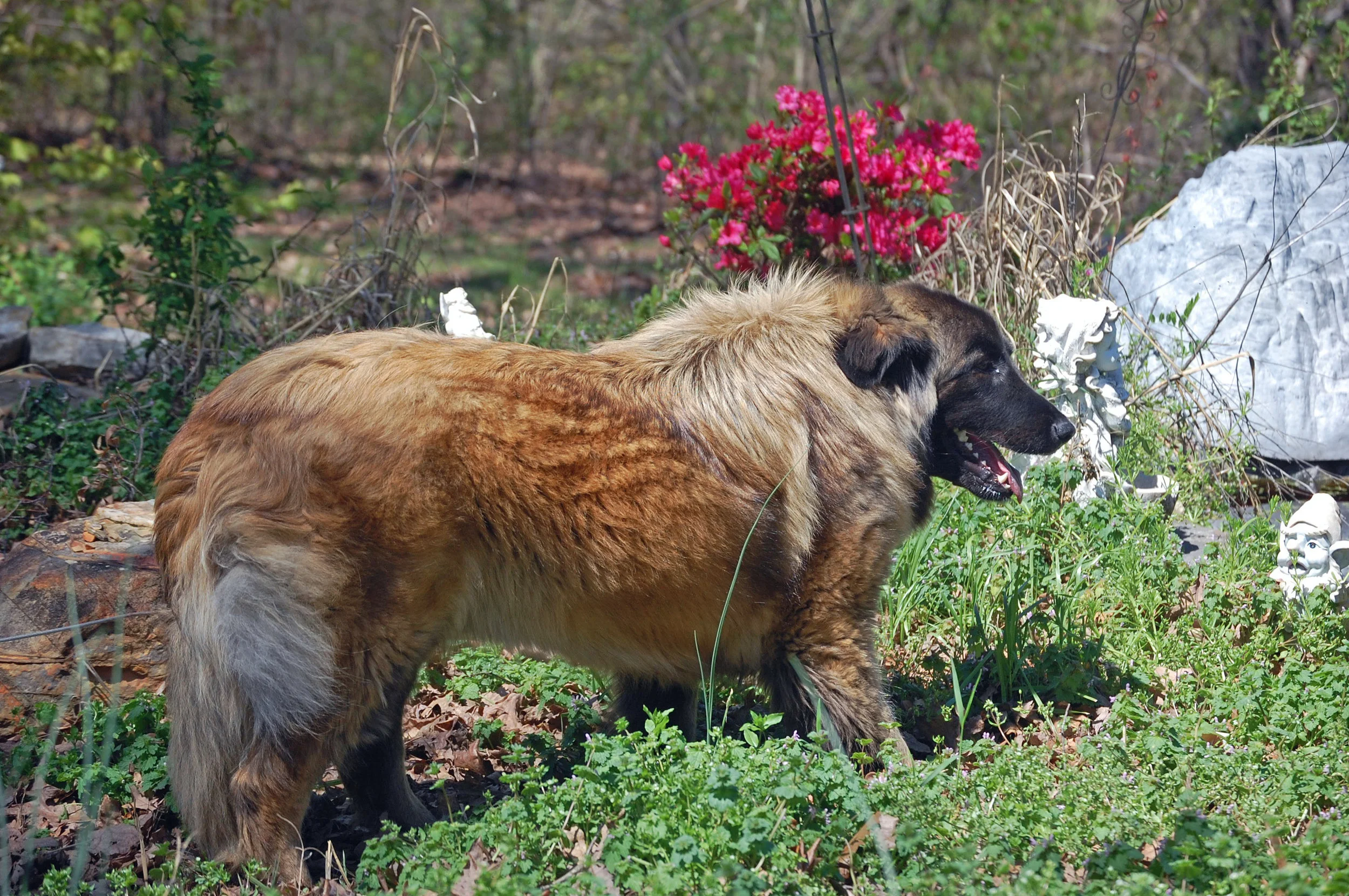 04 06_April 5, 2011_0929_edited-1.JPG