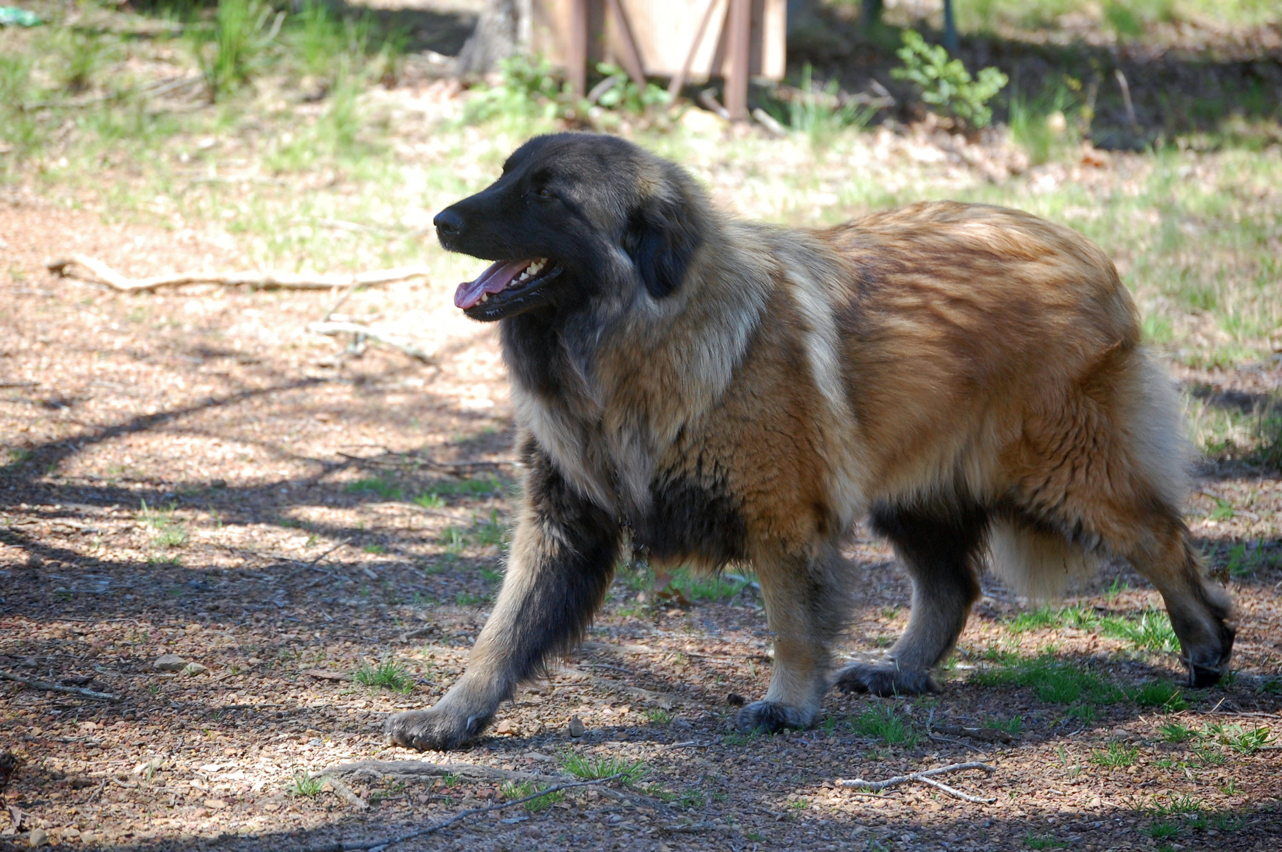 04 06_April 5, 2011_0922_edited-2.jpg