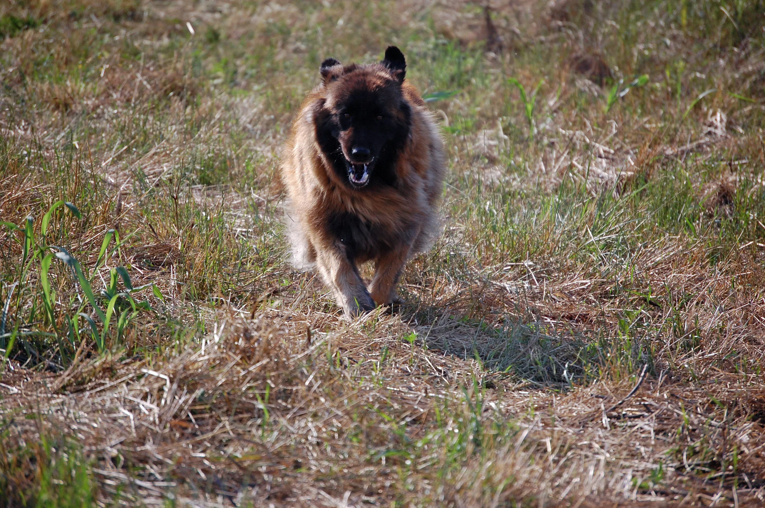 05 31_9146_edited-1.JPG