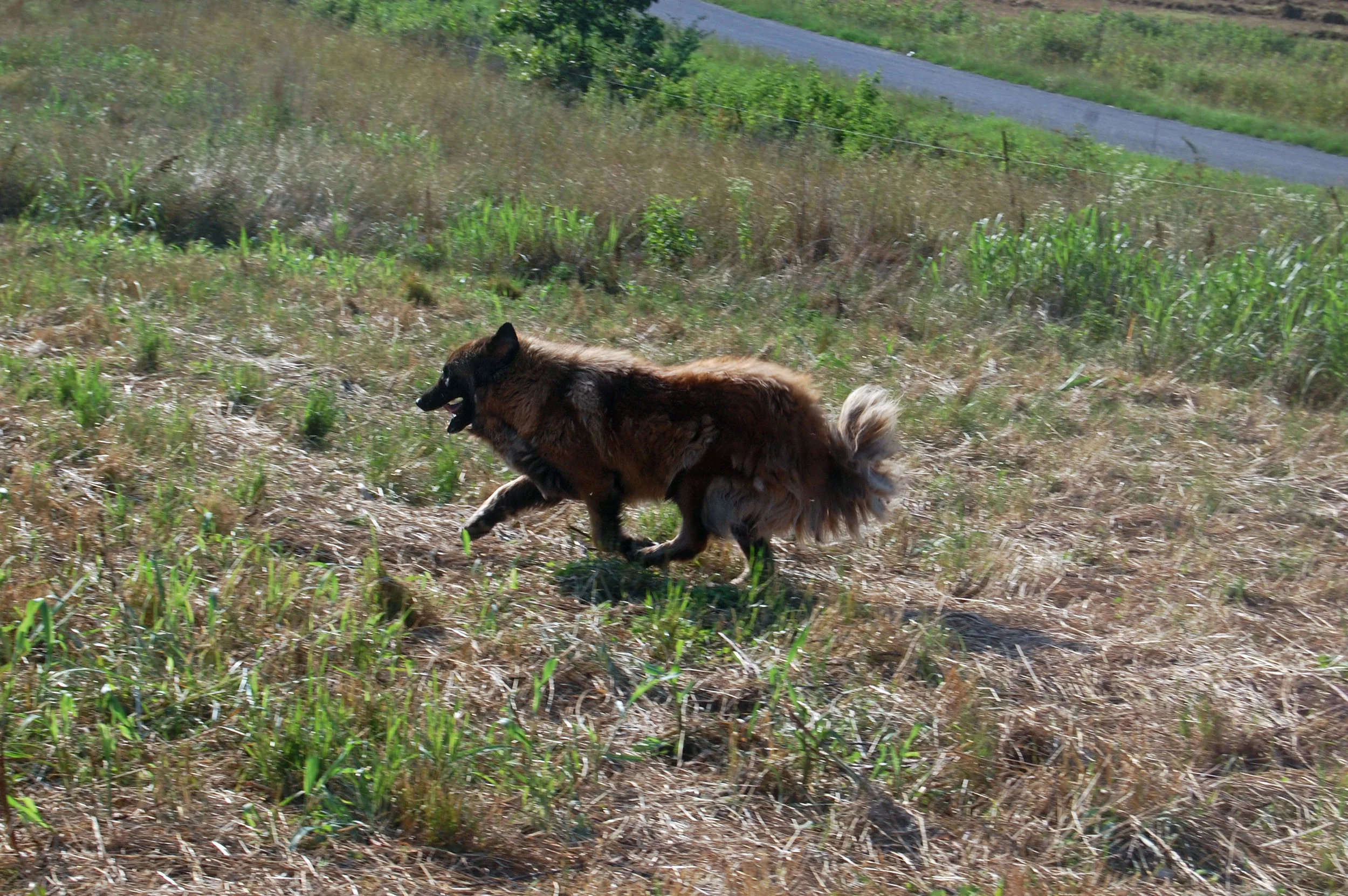 05 30_9056_edited-1.JPG