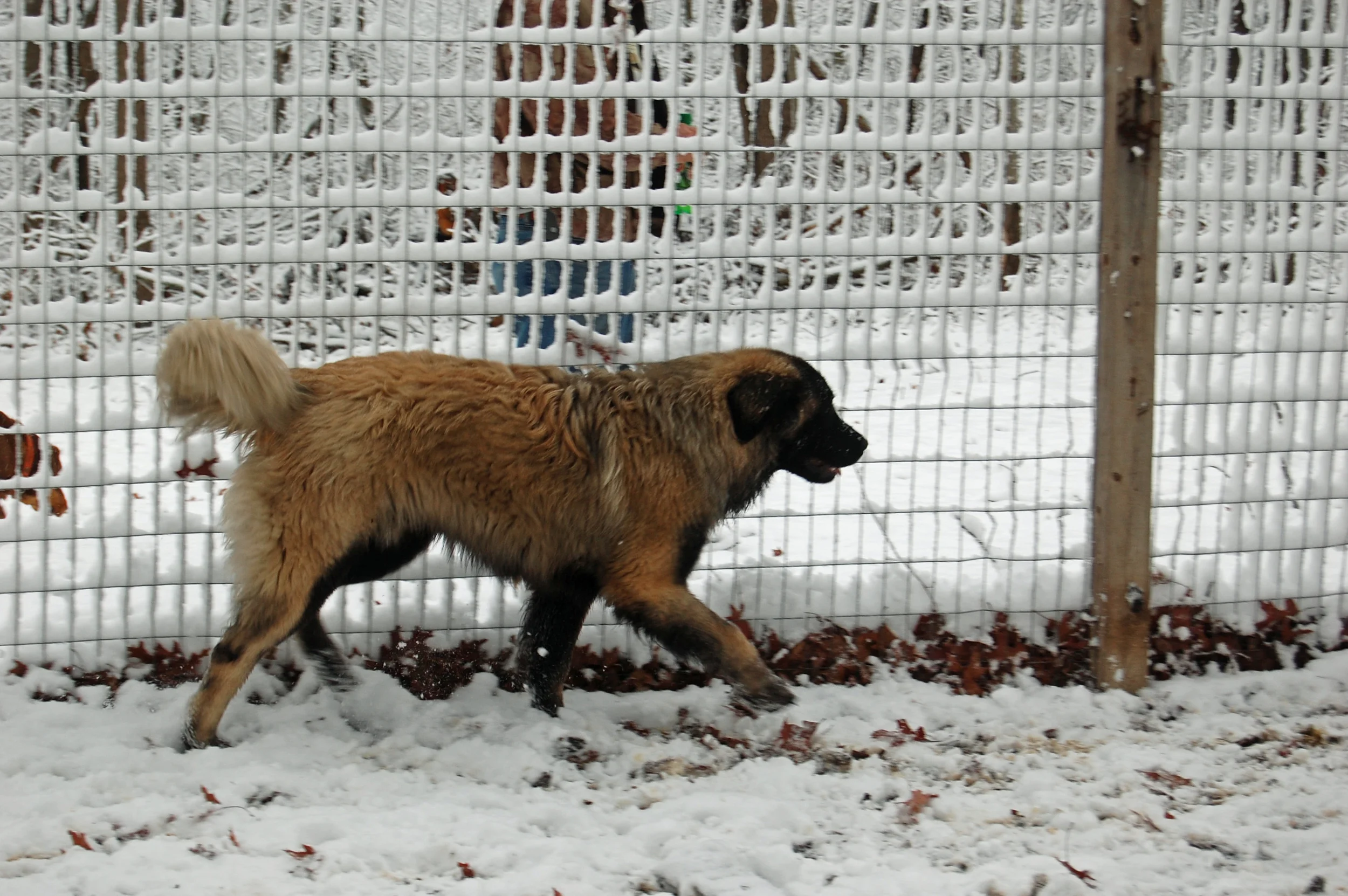 12 25_7601_edited-1.JPG