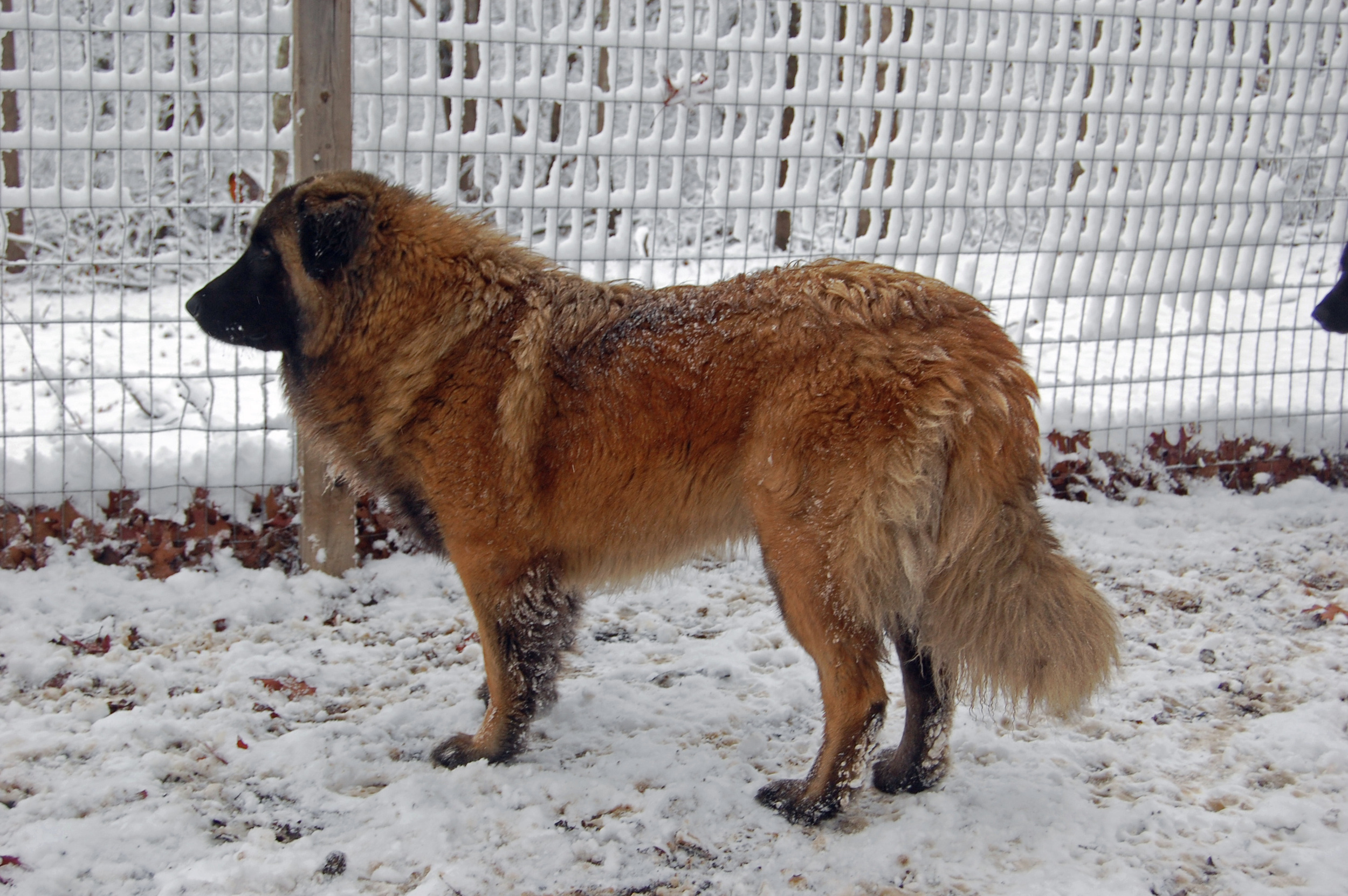 12 25_7627_edited-1.JPG