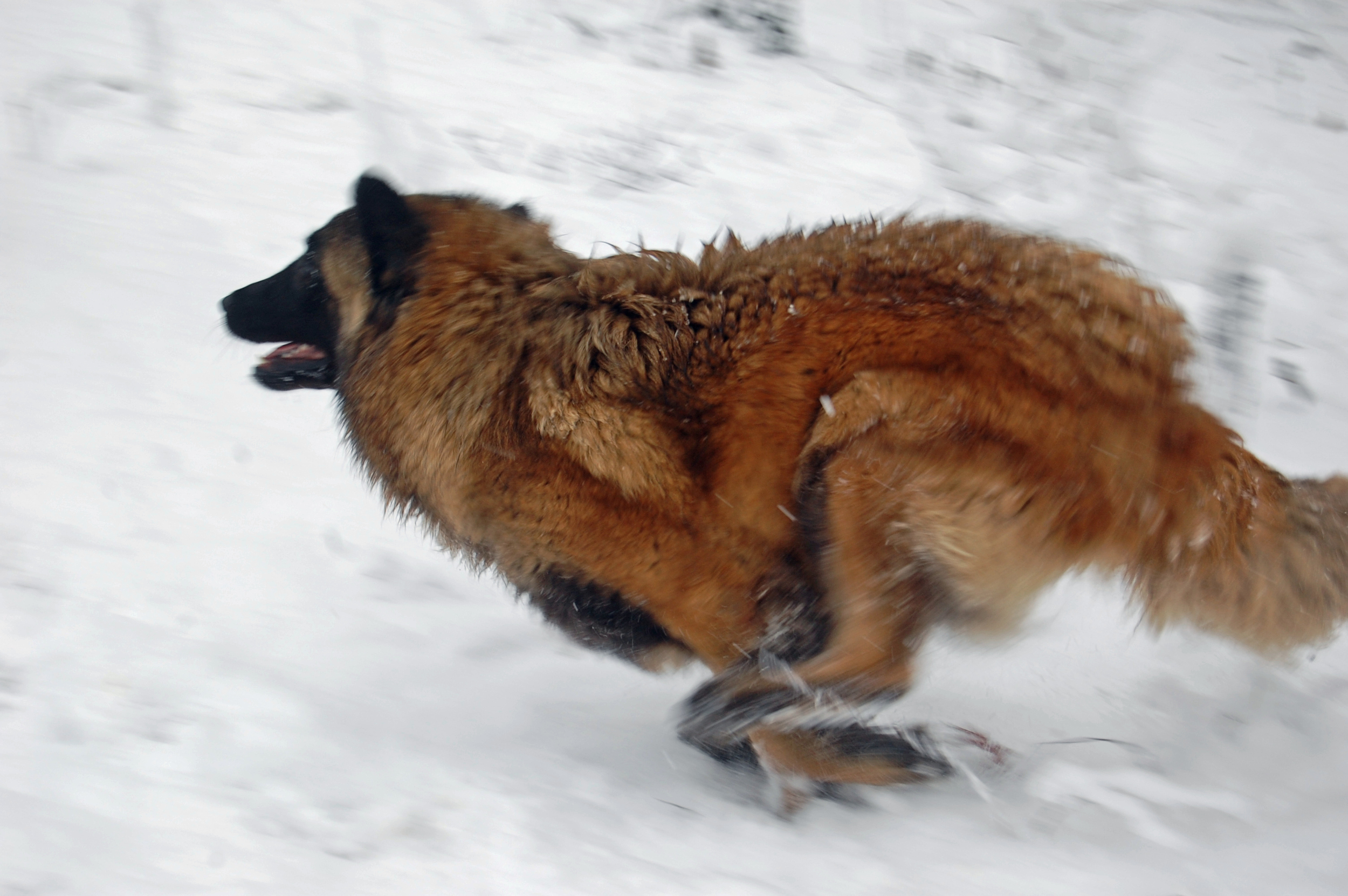 12 25_8151_edited-1.JPG