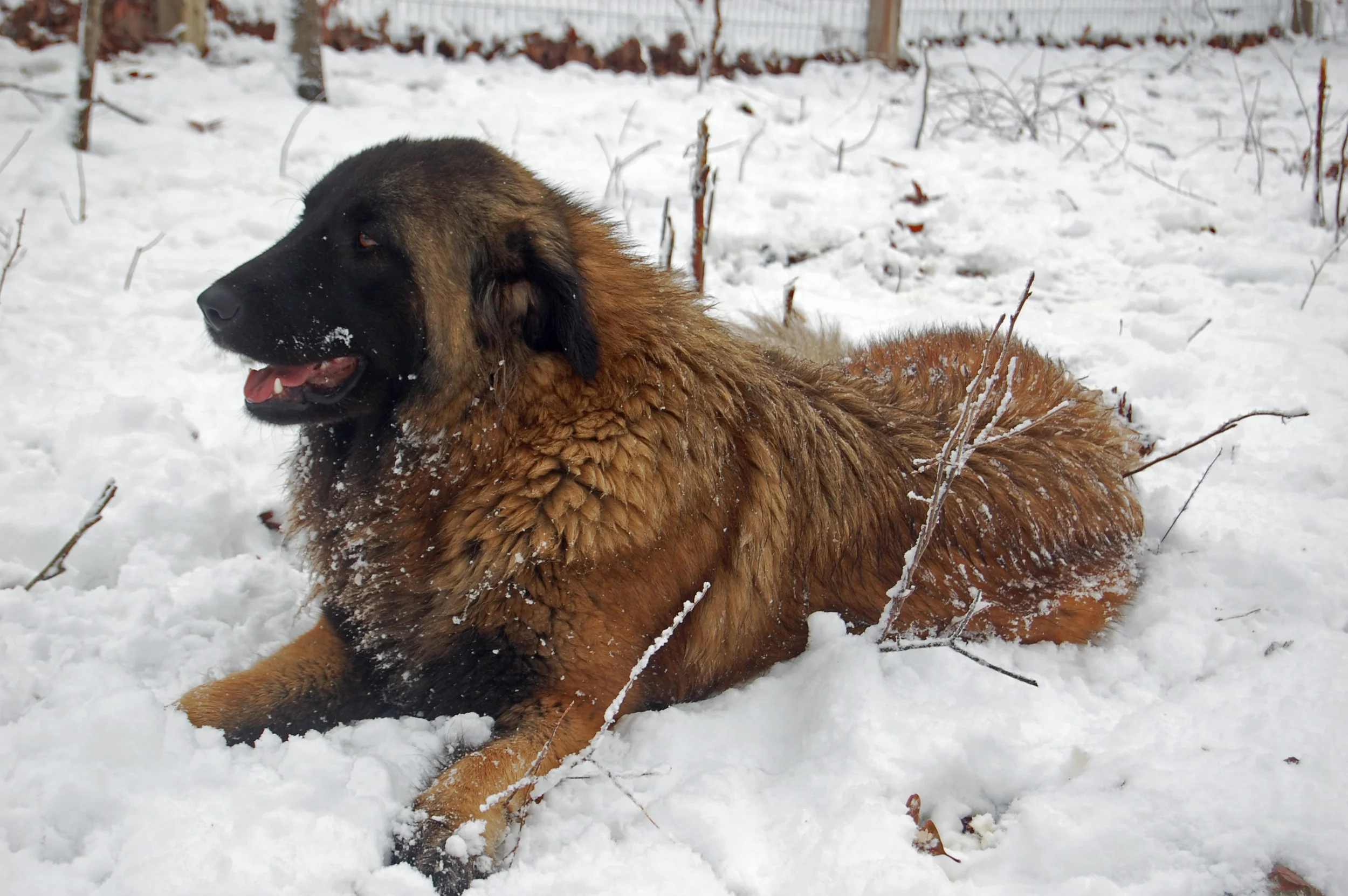 12 25_8275_edited-1.JPG