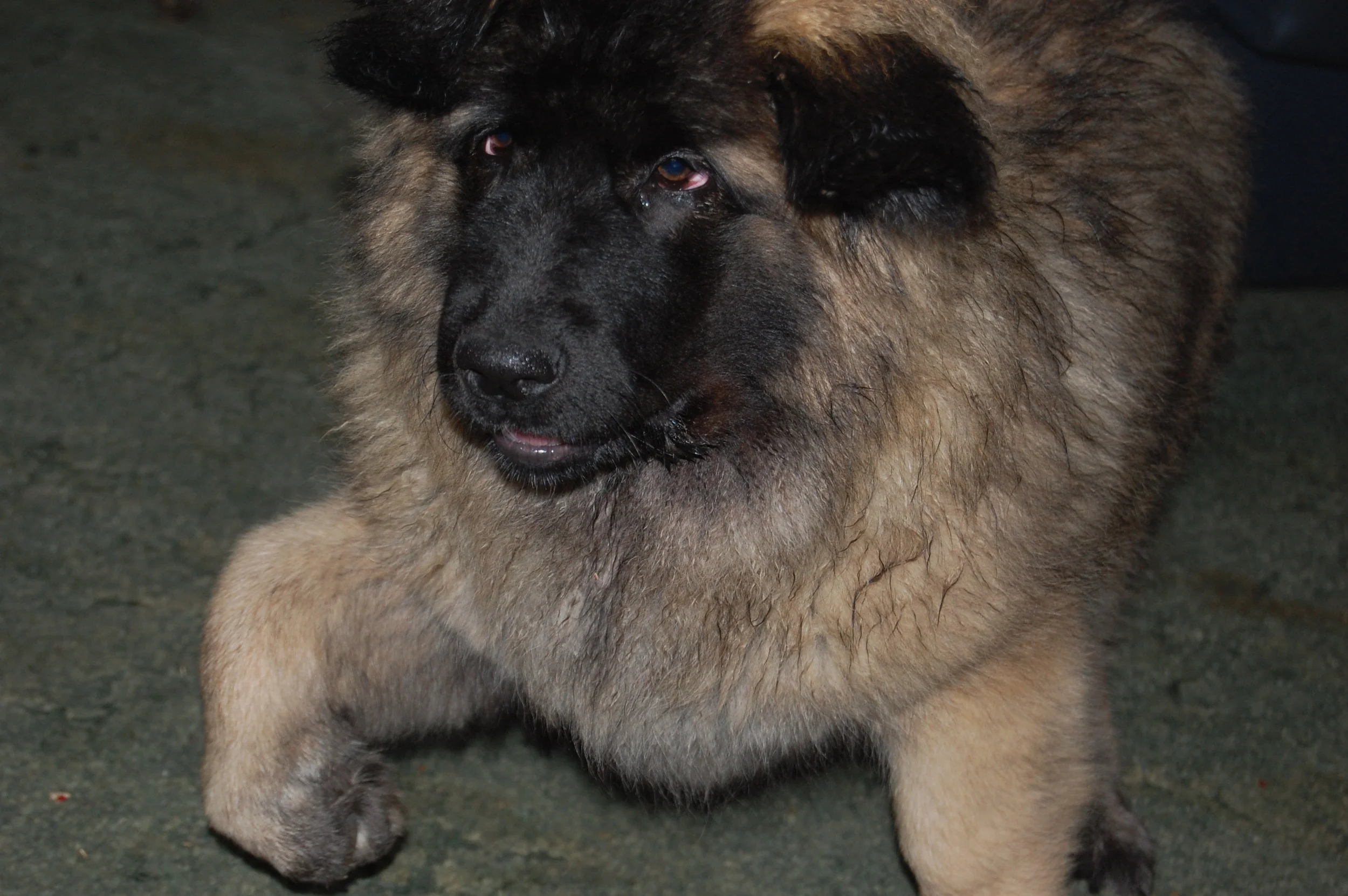 Christmas 2009_2009 12 25_7418.JPG