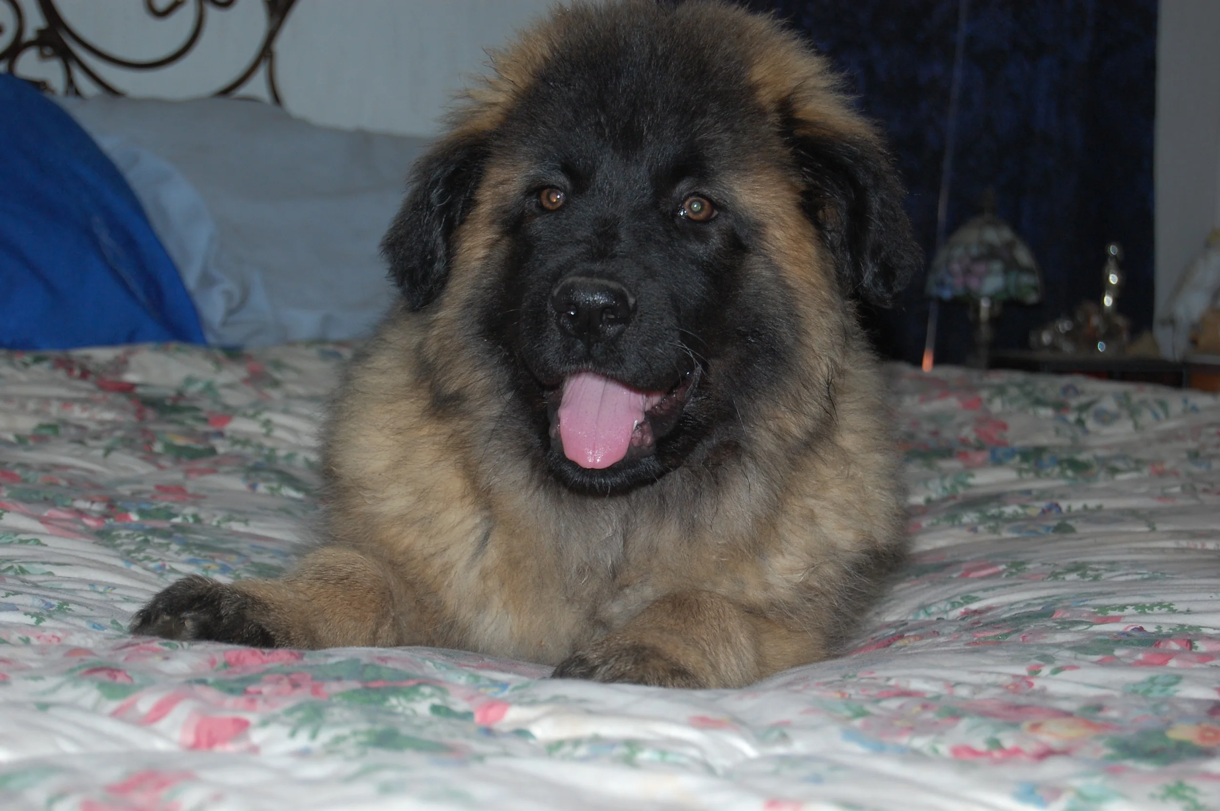 2 days after xmas 2009_2009 12 27_7494.JPG