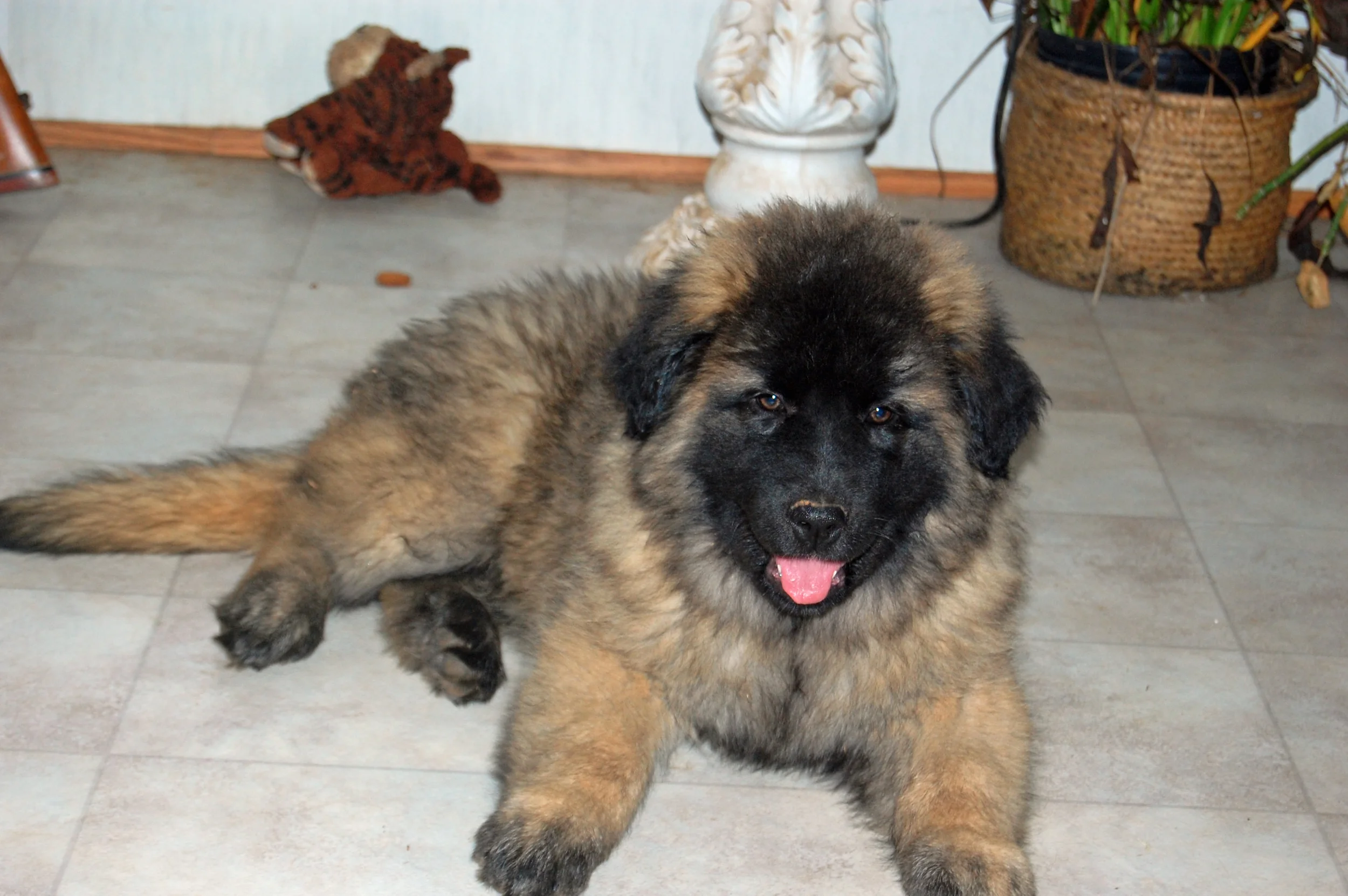 2009 11 24_6936_edited-1.JPG