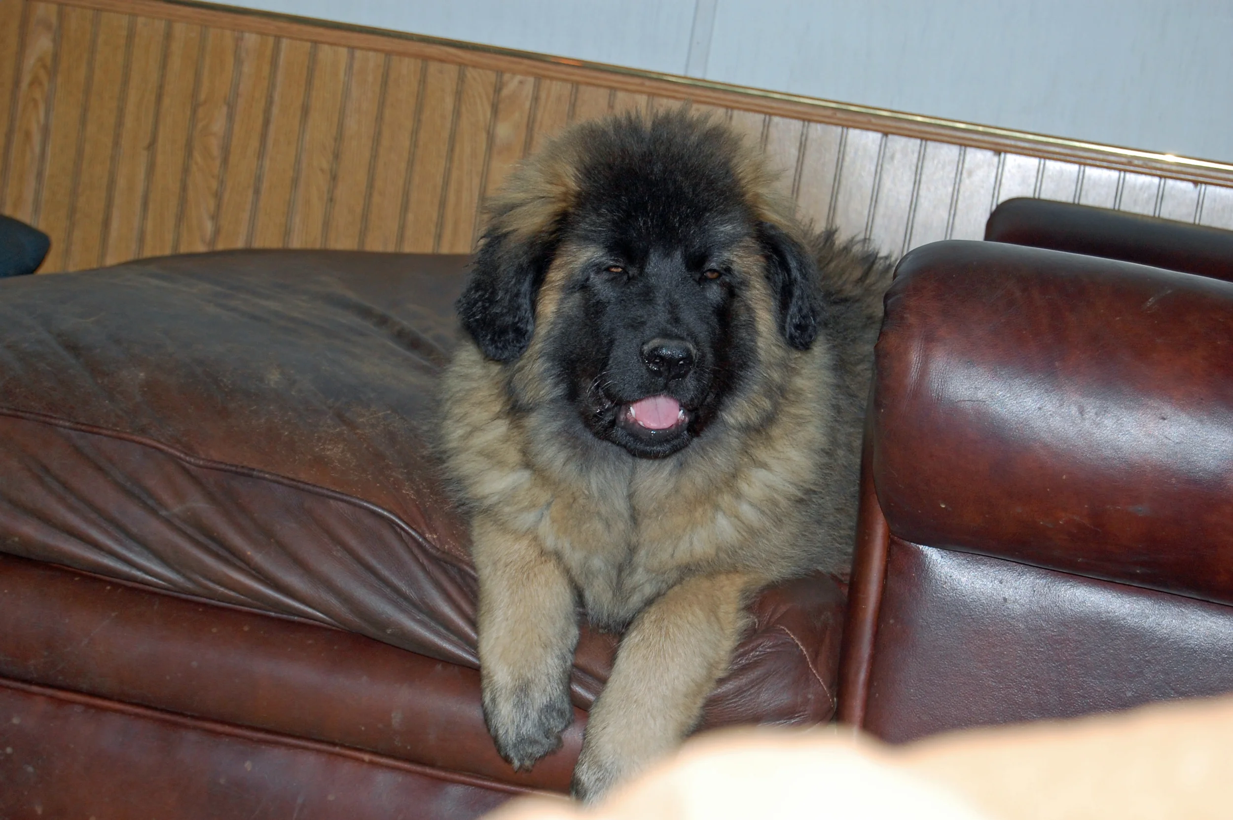 Calming down_2009 12 17_7222_edited-1.JPG