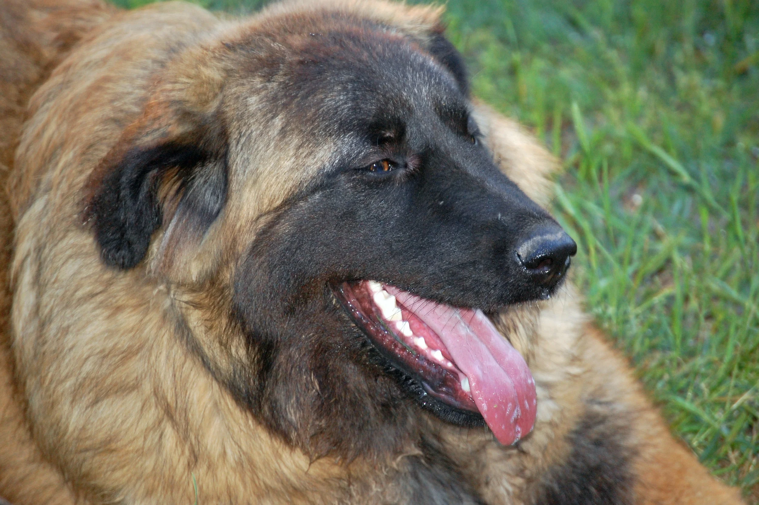 05 18_Bella_1368_edited-1.JPG