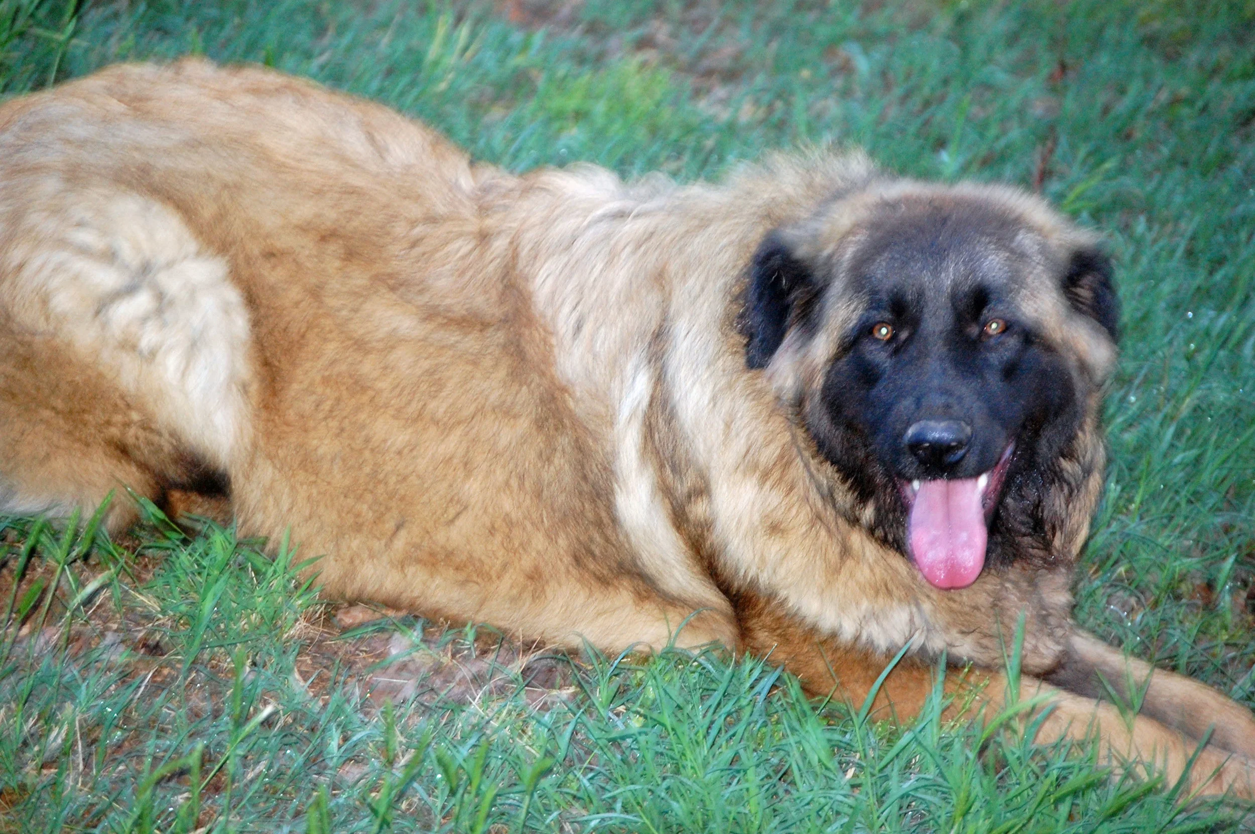 05 18_Bella_1391_edited-1.JPG