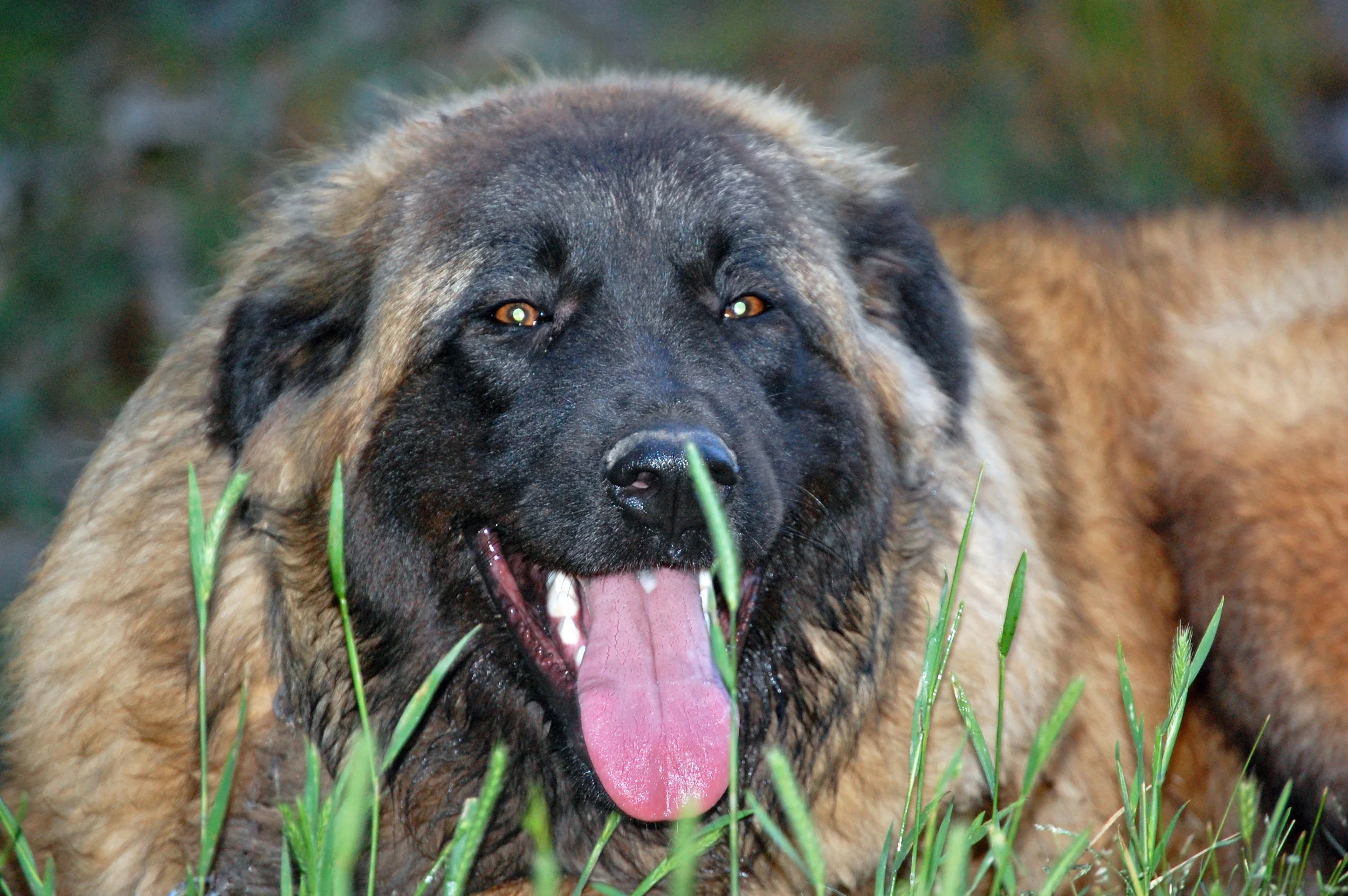 05 18_Bella_1401_edited-2.jpg