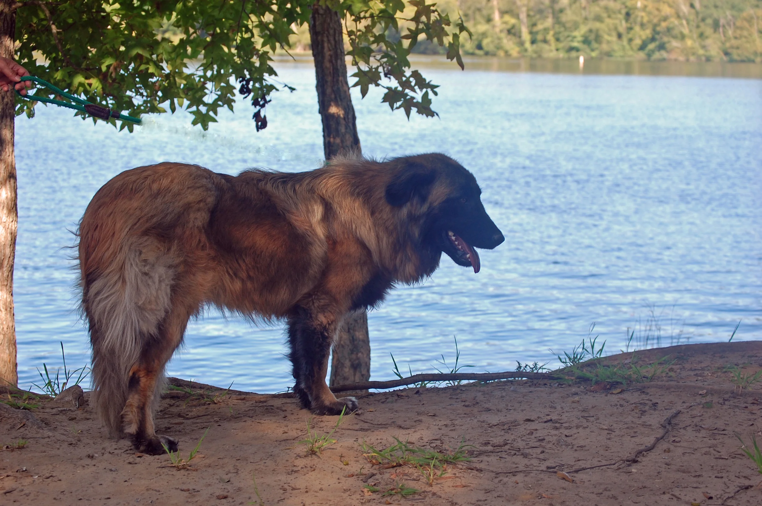 09 10_3799_edited-2.jpg