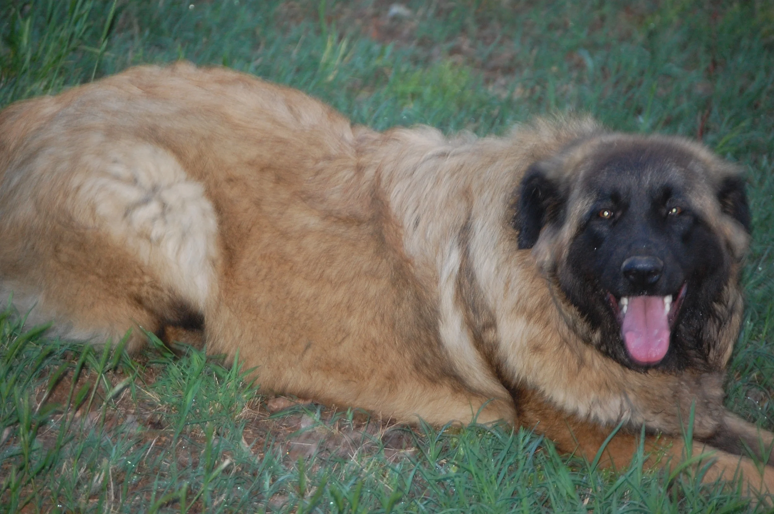 05 18_Bella_1392.JPG