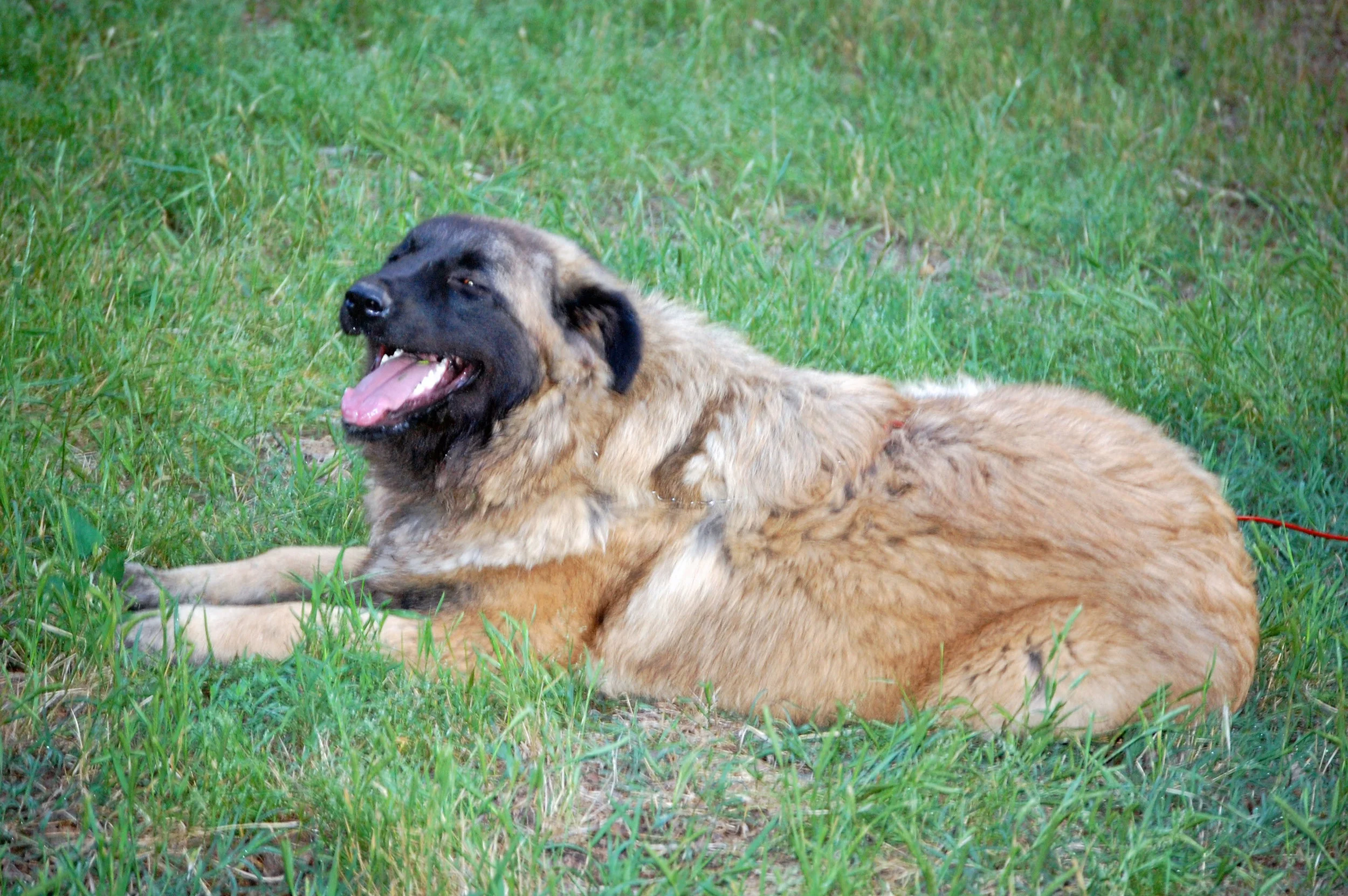 05 18_Bella_1382_edited-1.JPG