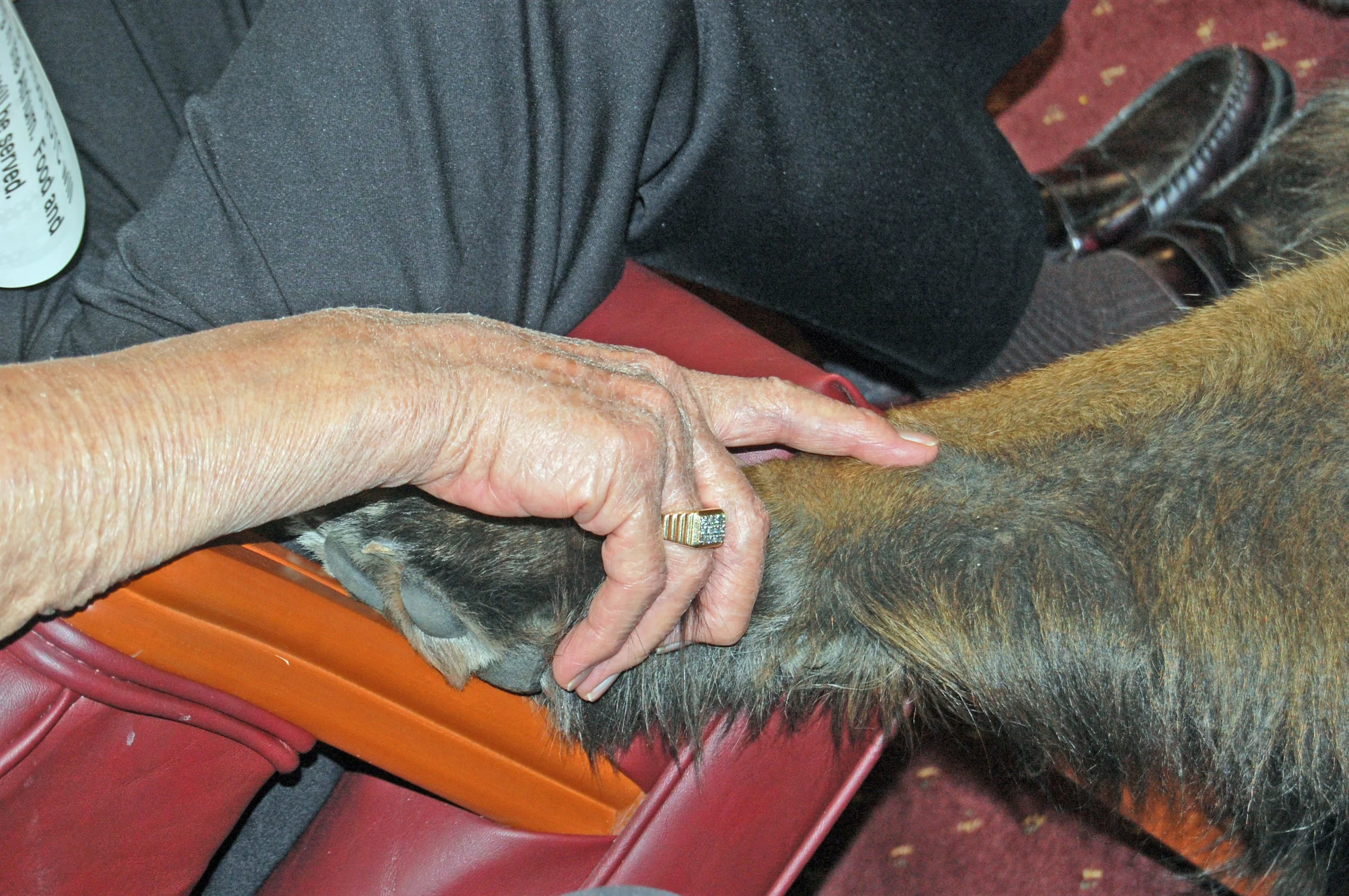 05 29_1665_edited-1.JPG