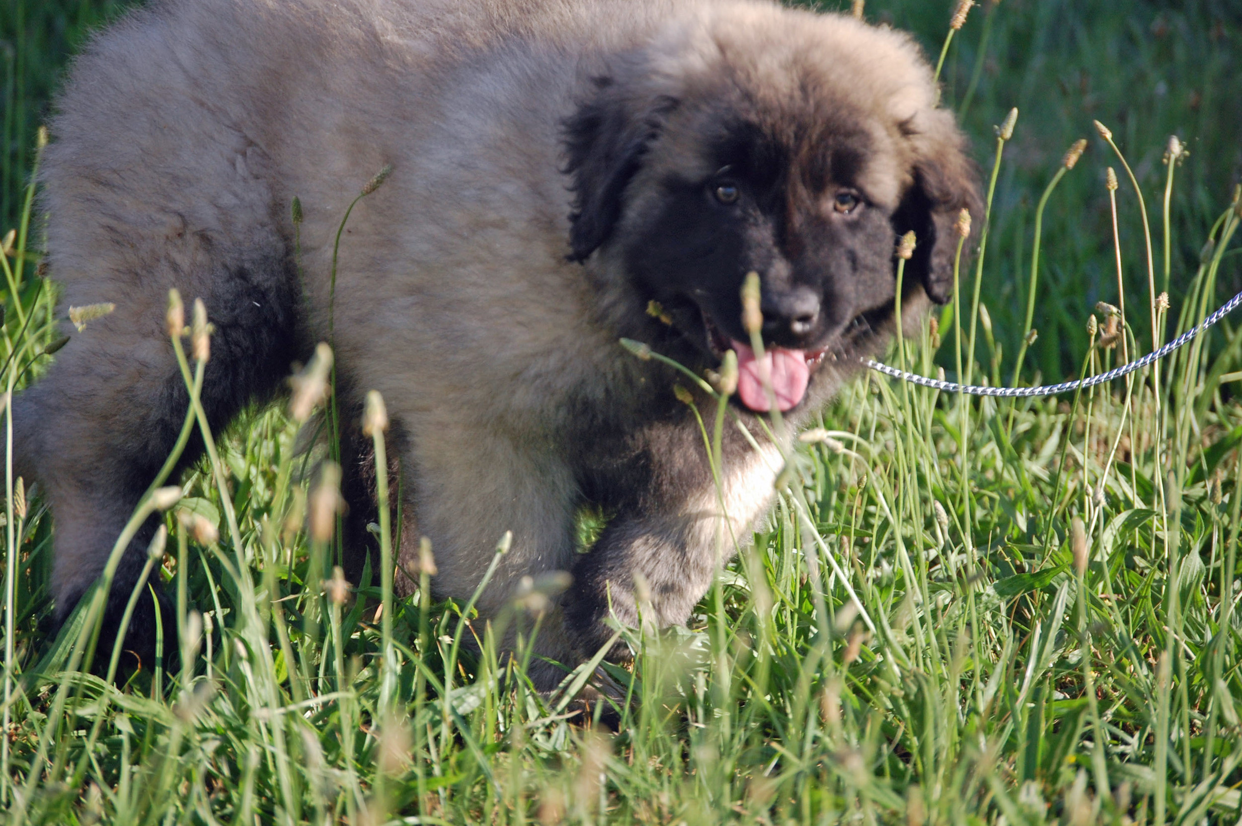 05 21_Home coming_1419_edited-1.JPG