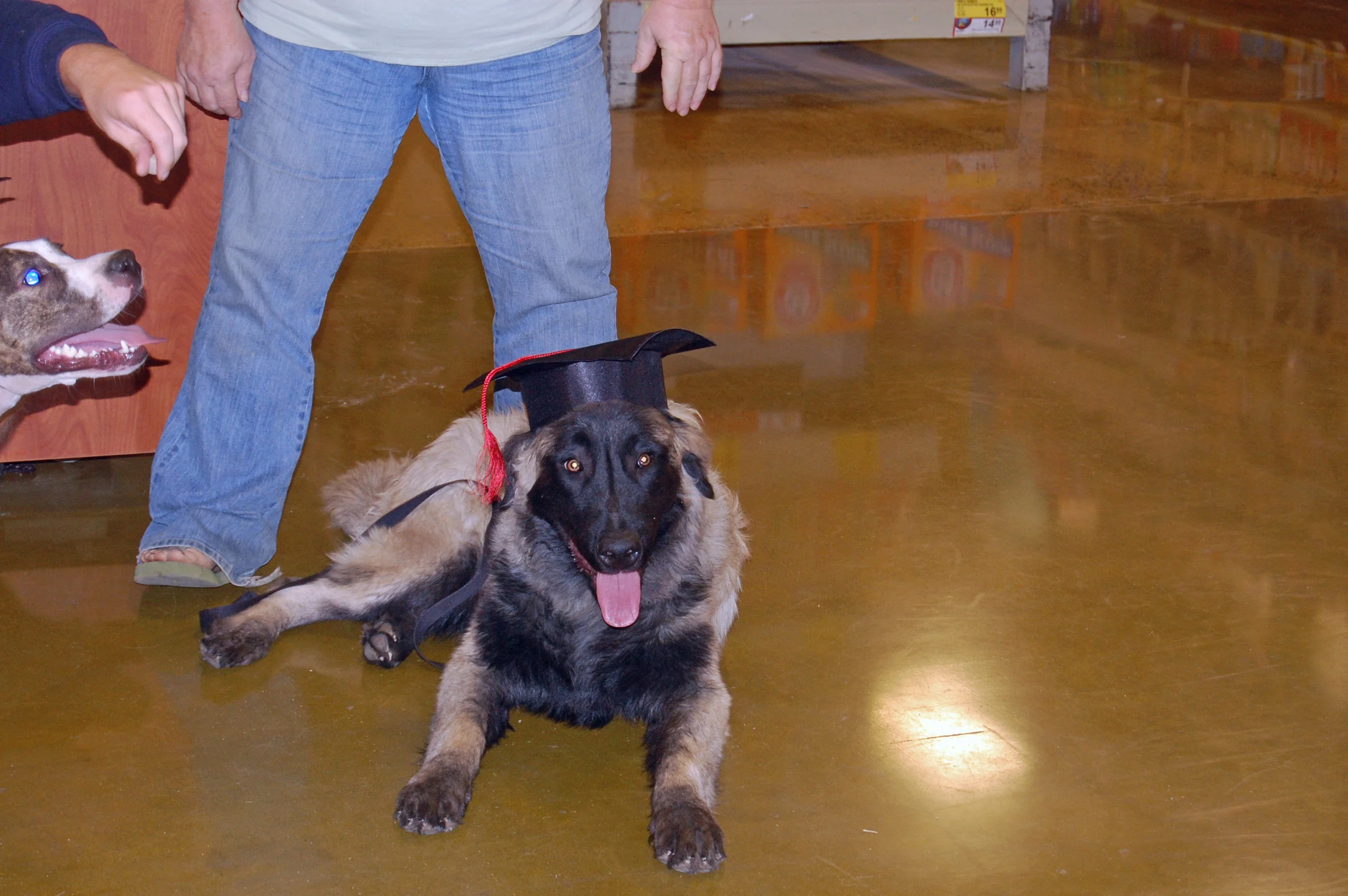 10 06_Graduation night!_4589_edited-1.JPG