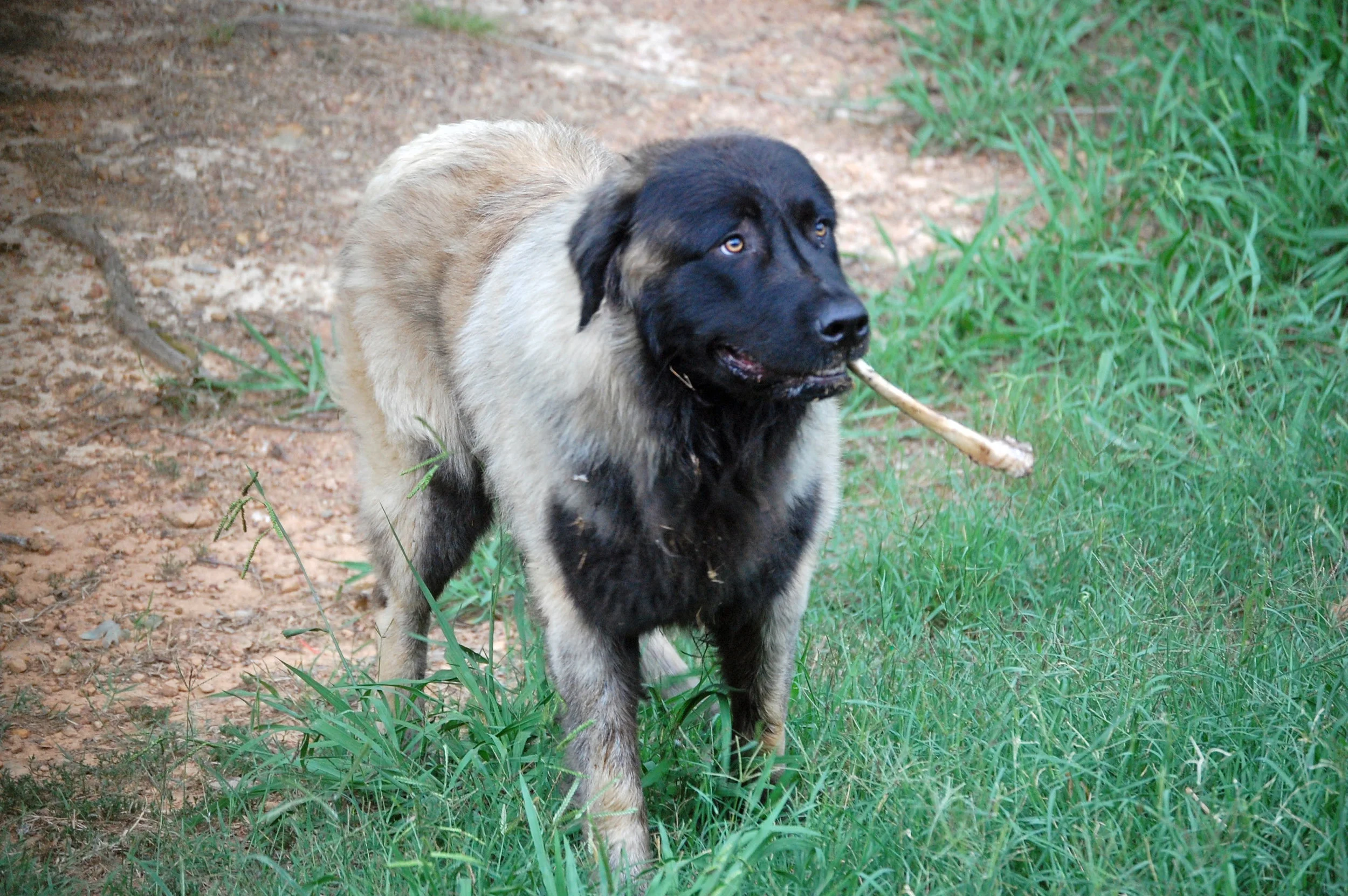 08 11_3123_edited-1.JPG