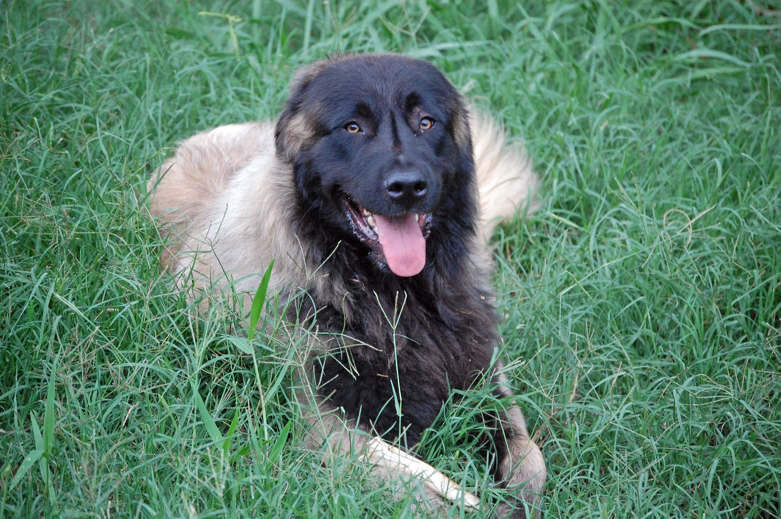 08 11_3131_edited-1.JPG