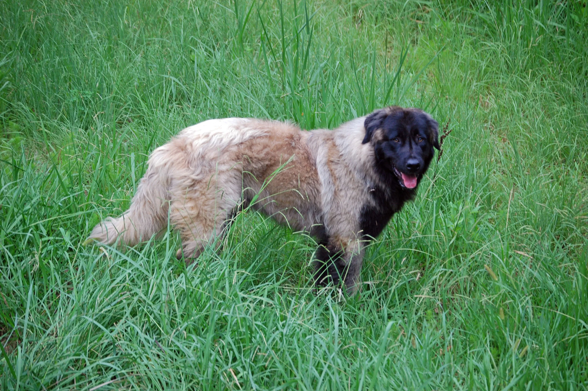 08 11_3157_edited-1.JPG