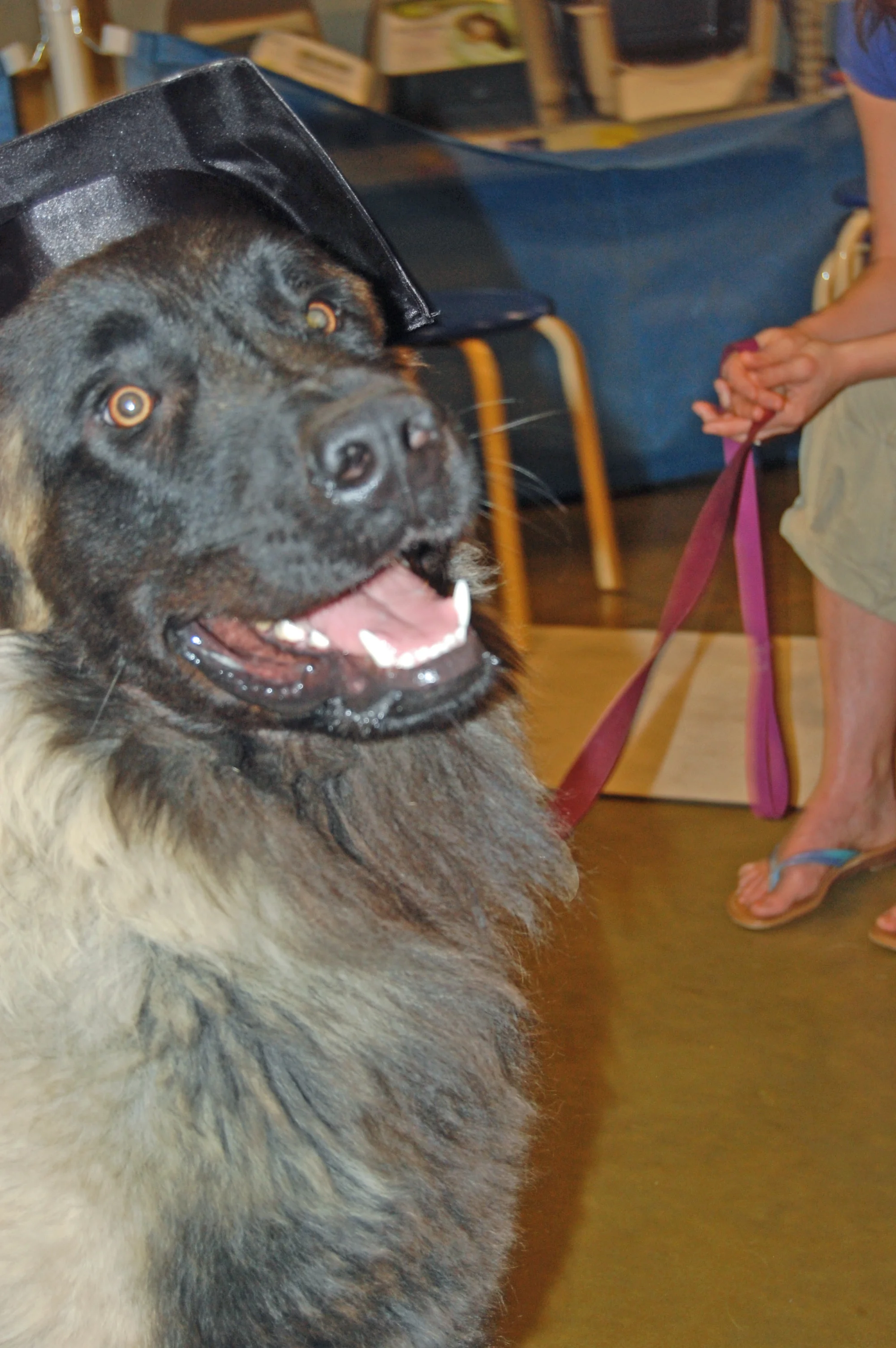 03 23_0748_edited-1.JPG