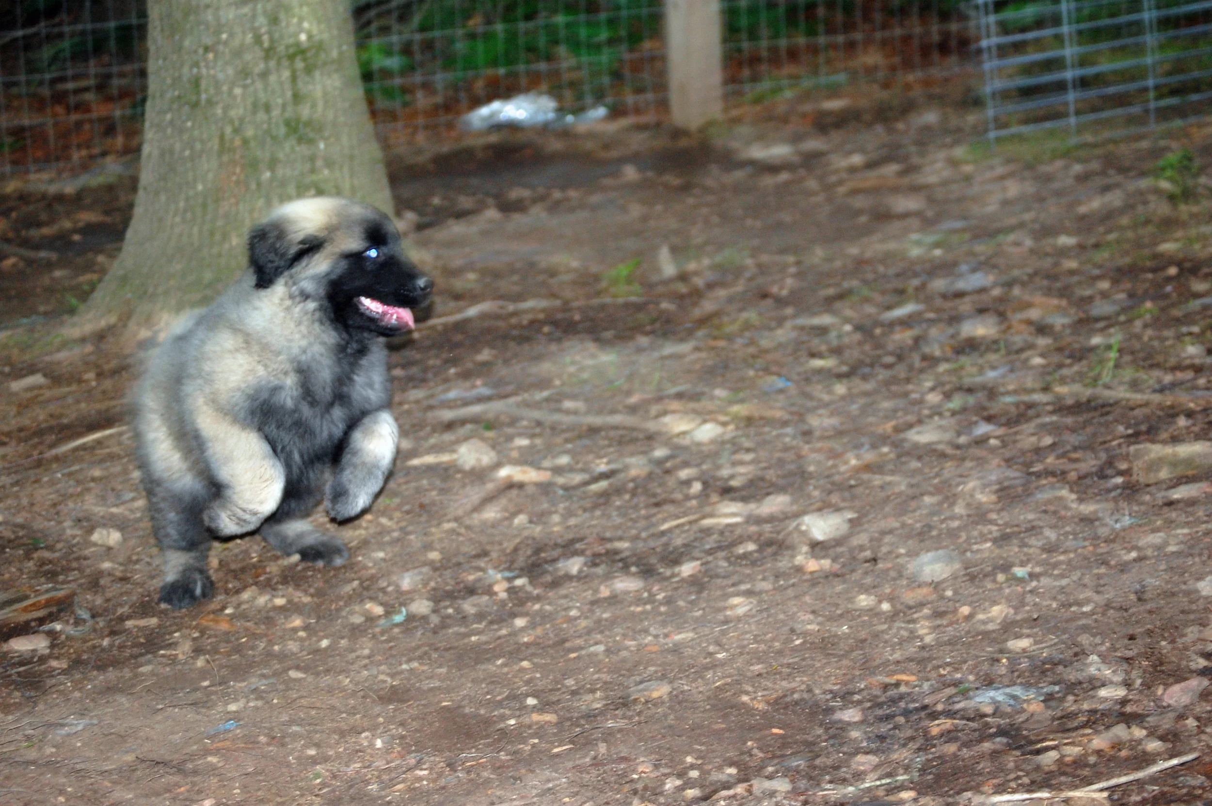 05 24_Day 3_1649_edited-1.JPG