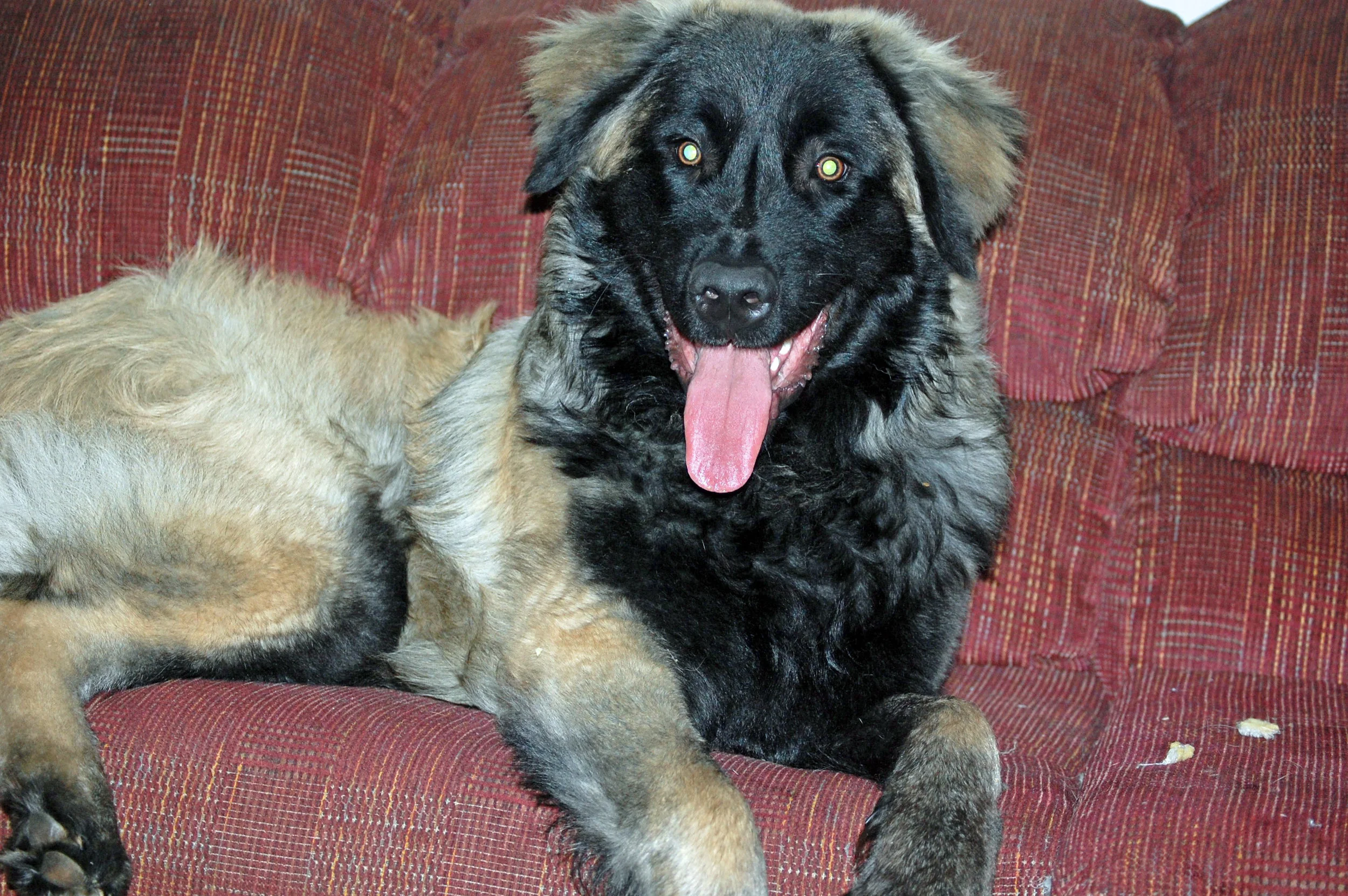 11 30_6739_edited-1.JPG