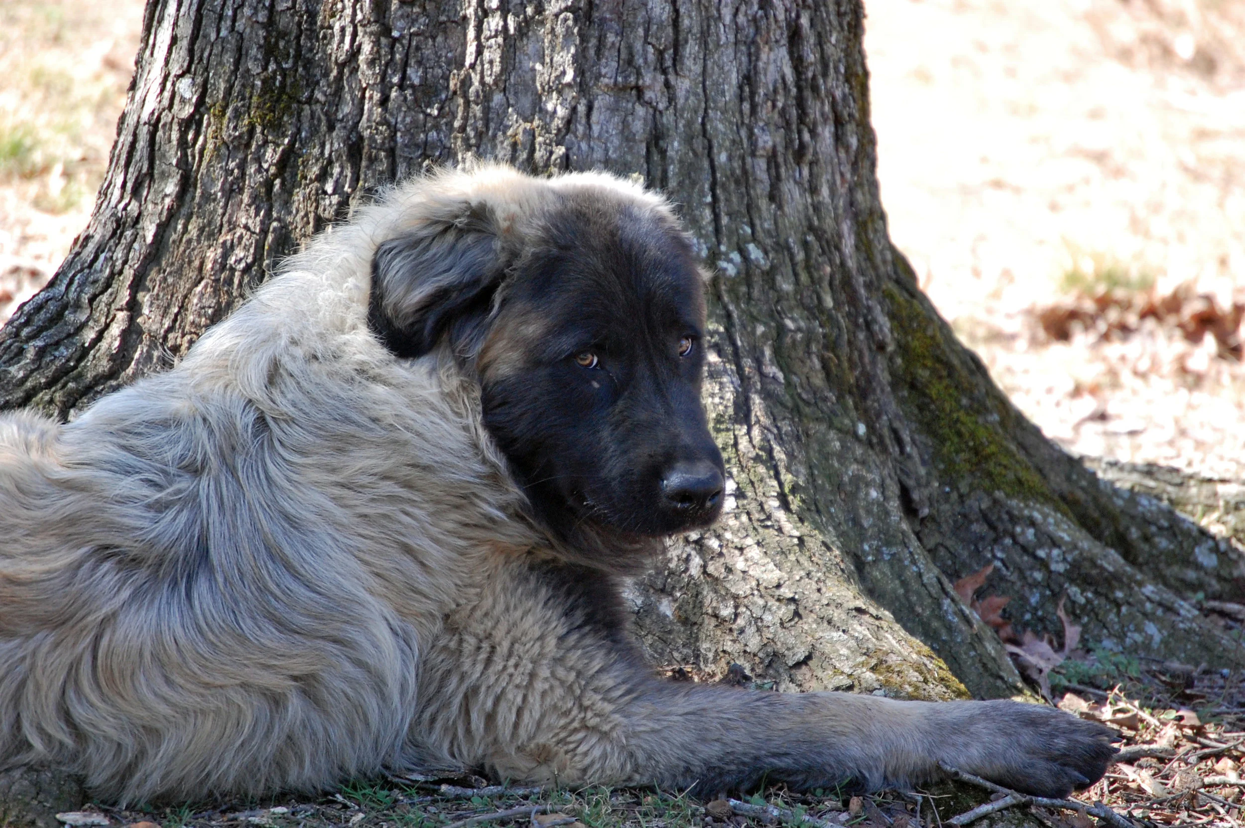 02 20_0293_edited-1.JPG