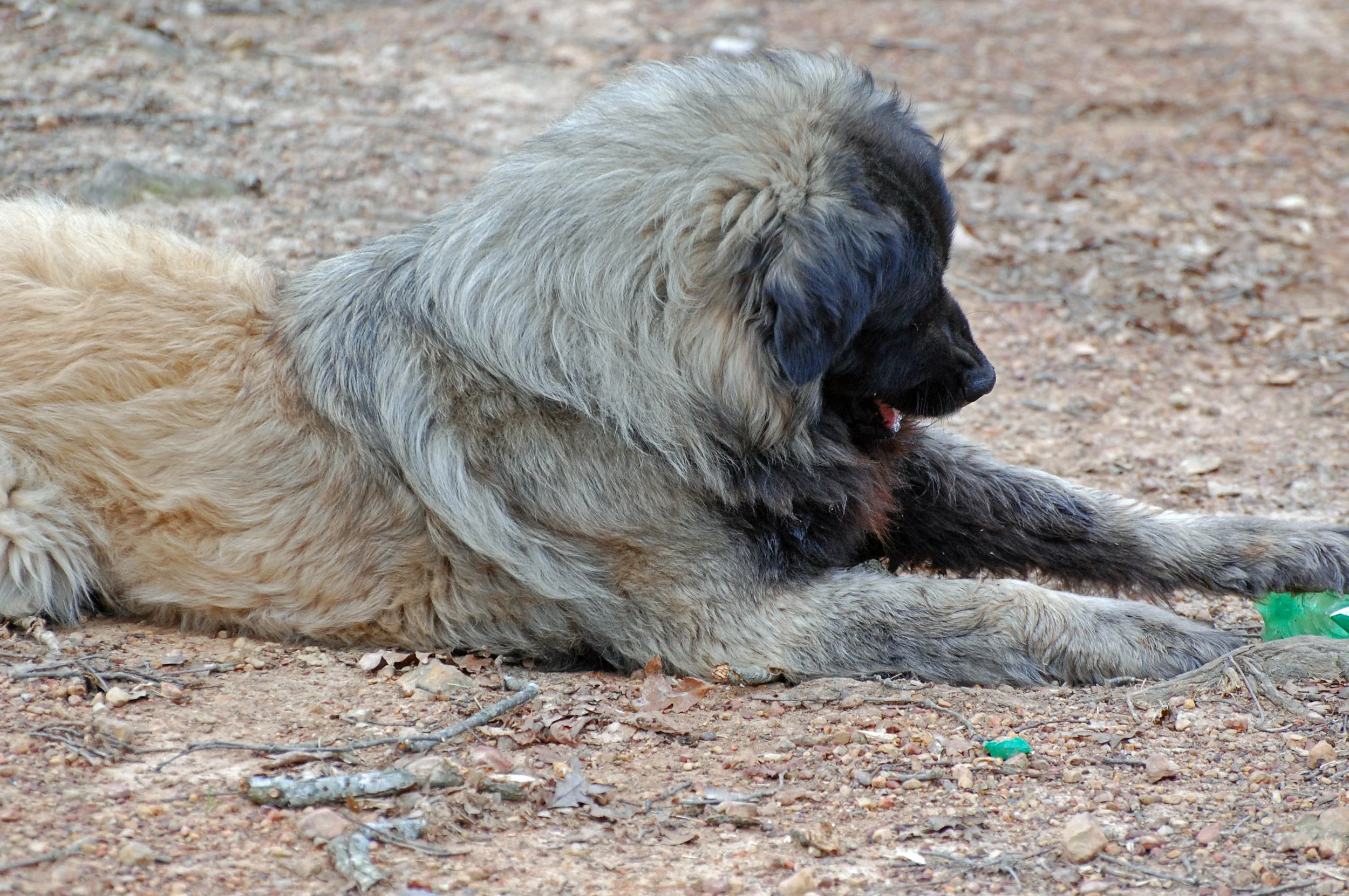 2013 Feb 03_2012_edited-1.JPG