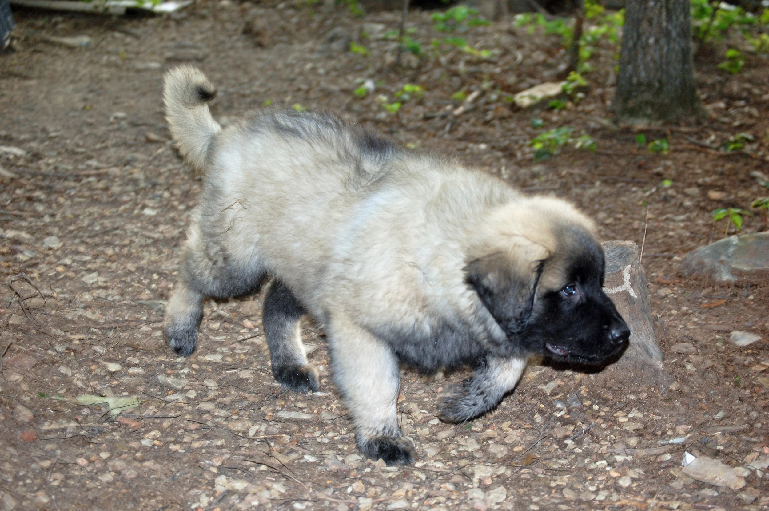 06 05_June 5th_2215_edited-1.JPG