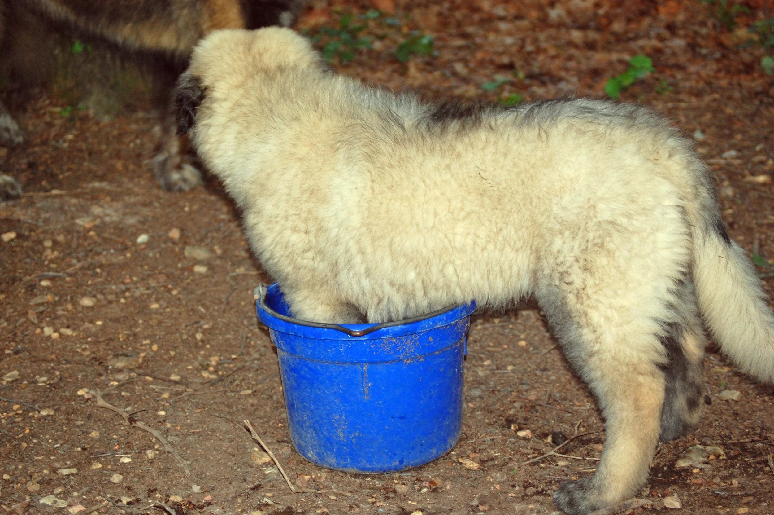 06 05_June 5th_2238_edited-1.JPG