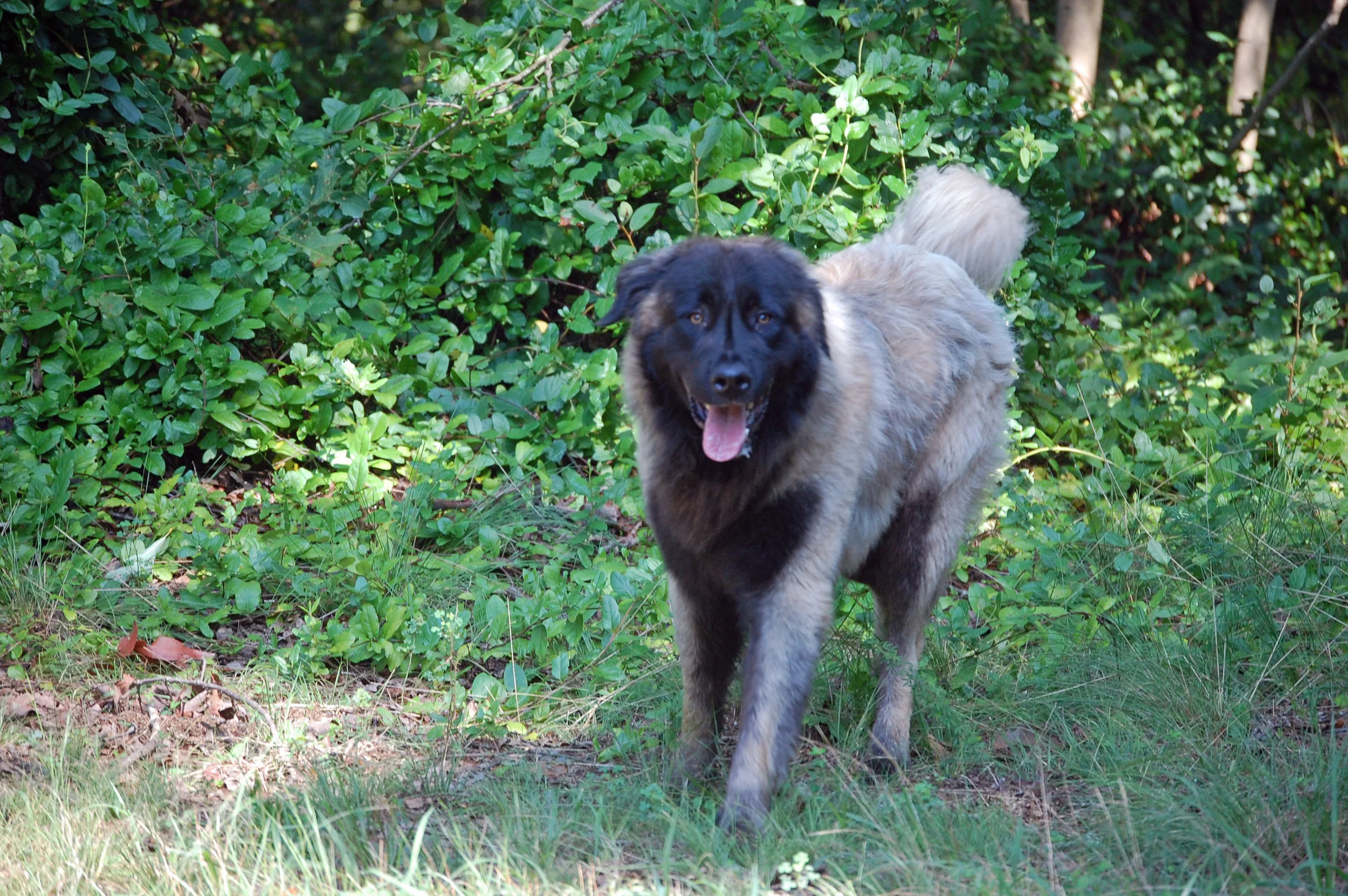 07 31_8-1-11_2657_edited-1.JPG