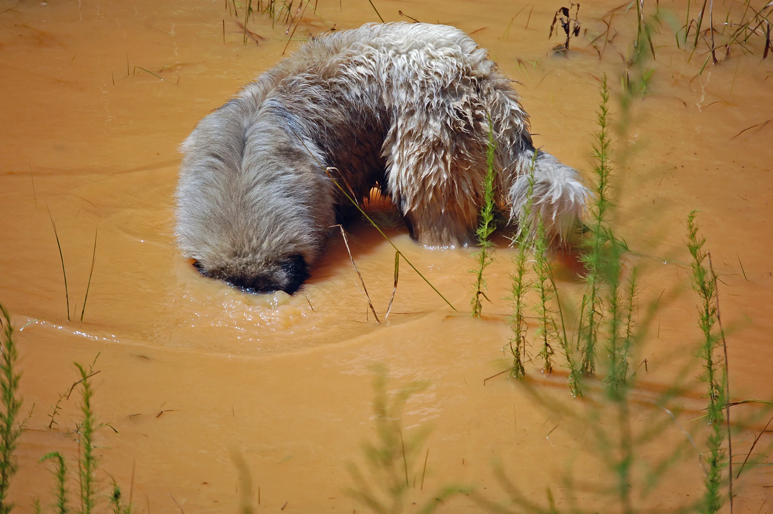 07 31_8-1-11_2799_edited-1.JPG