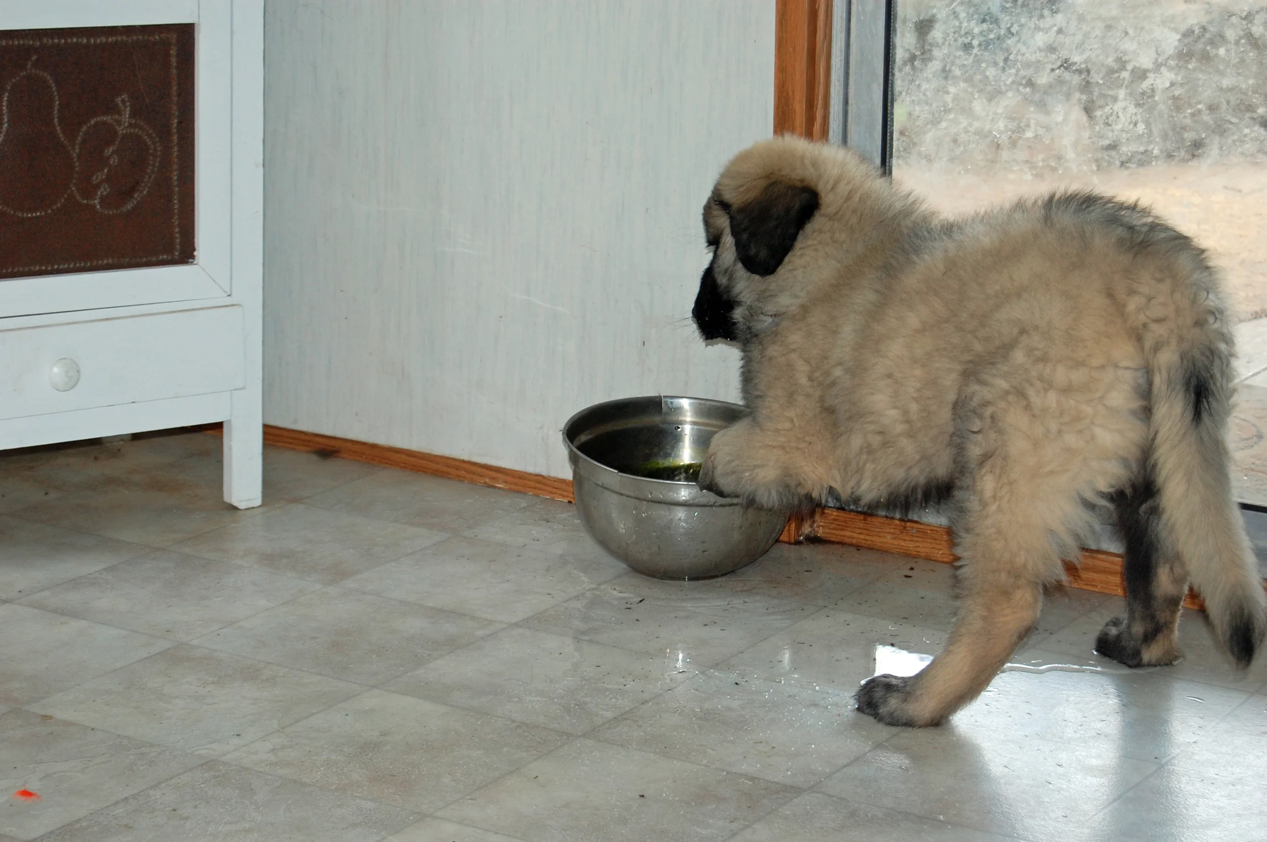 06 03_Knight and his water_2195_edited-1.JPG