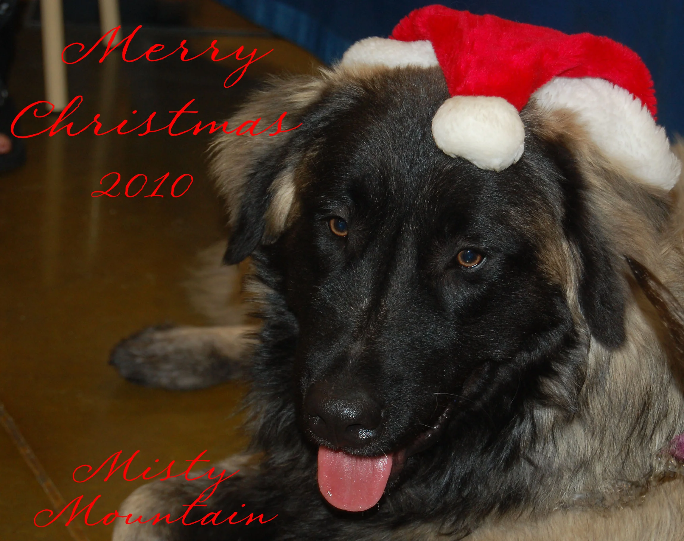 12 22_7519_edited-12.jpg