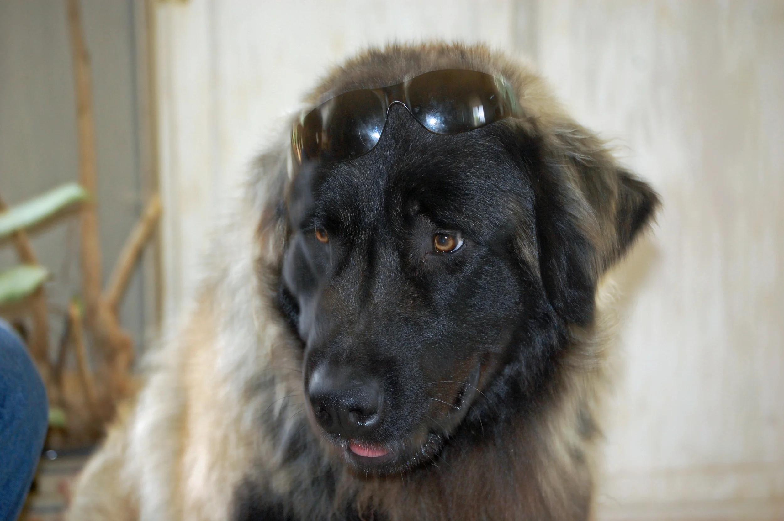 05 13_1563_edited-1.JPG