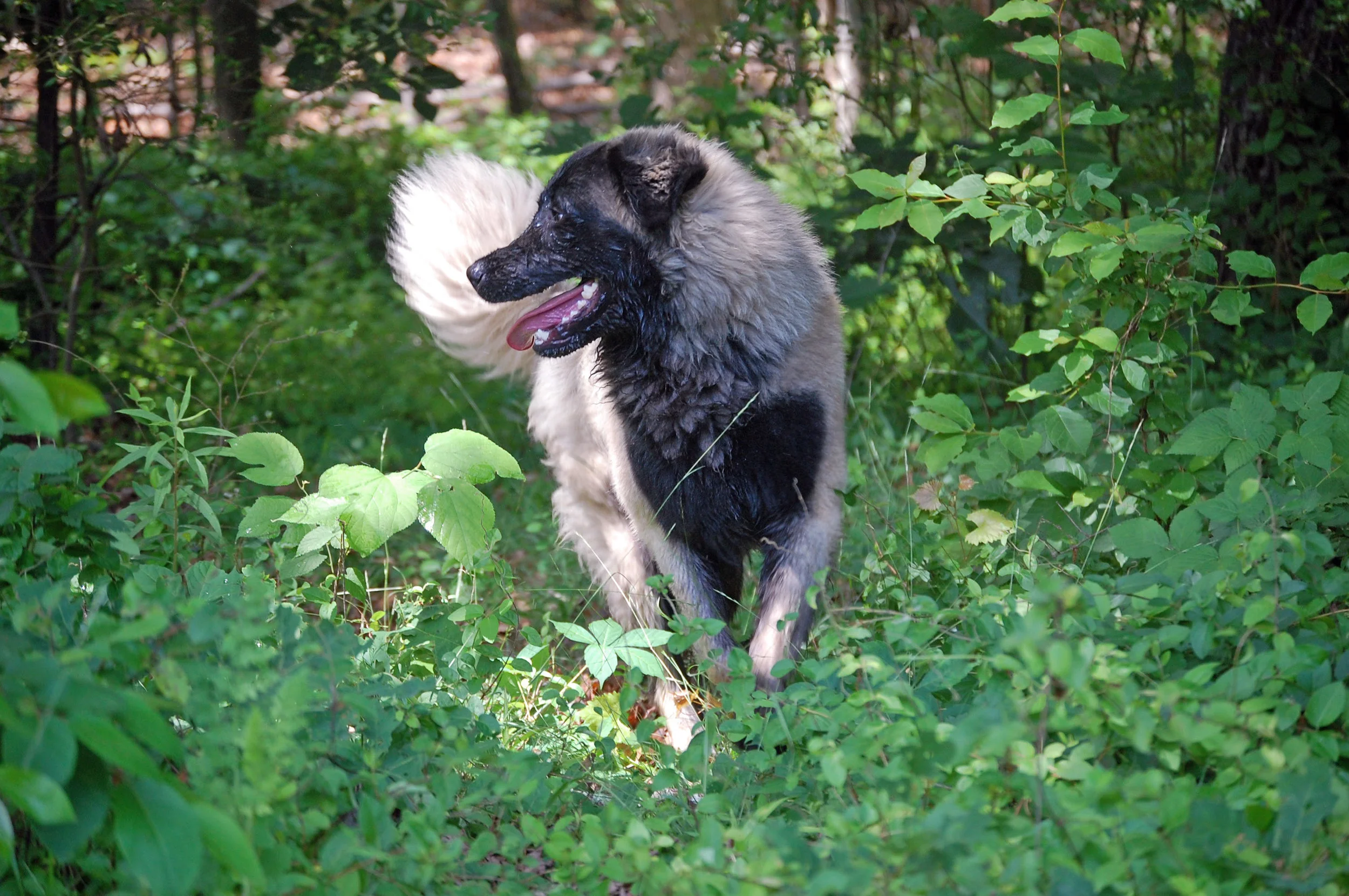 05 19_1553_edited-1.JPG