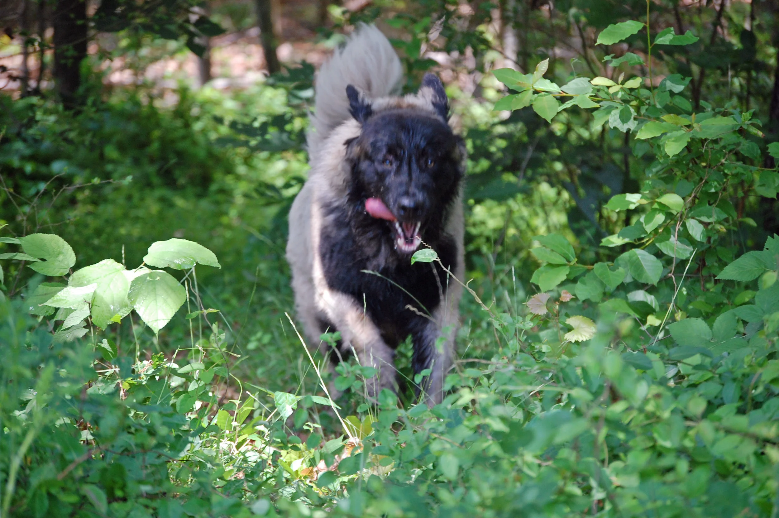 05 19_1559_edited-1.JPG