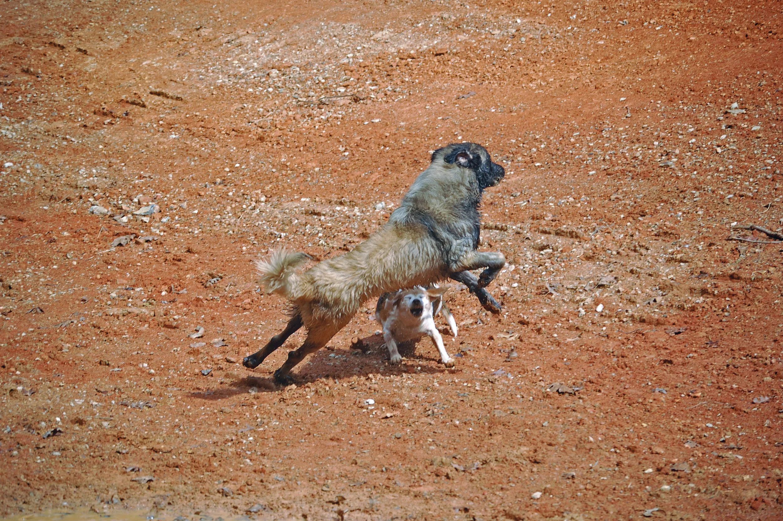 2012 Sep 29_1004_edited-1.JPG