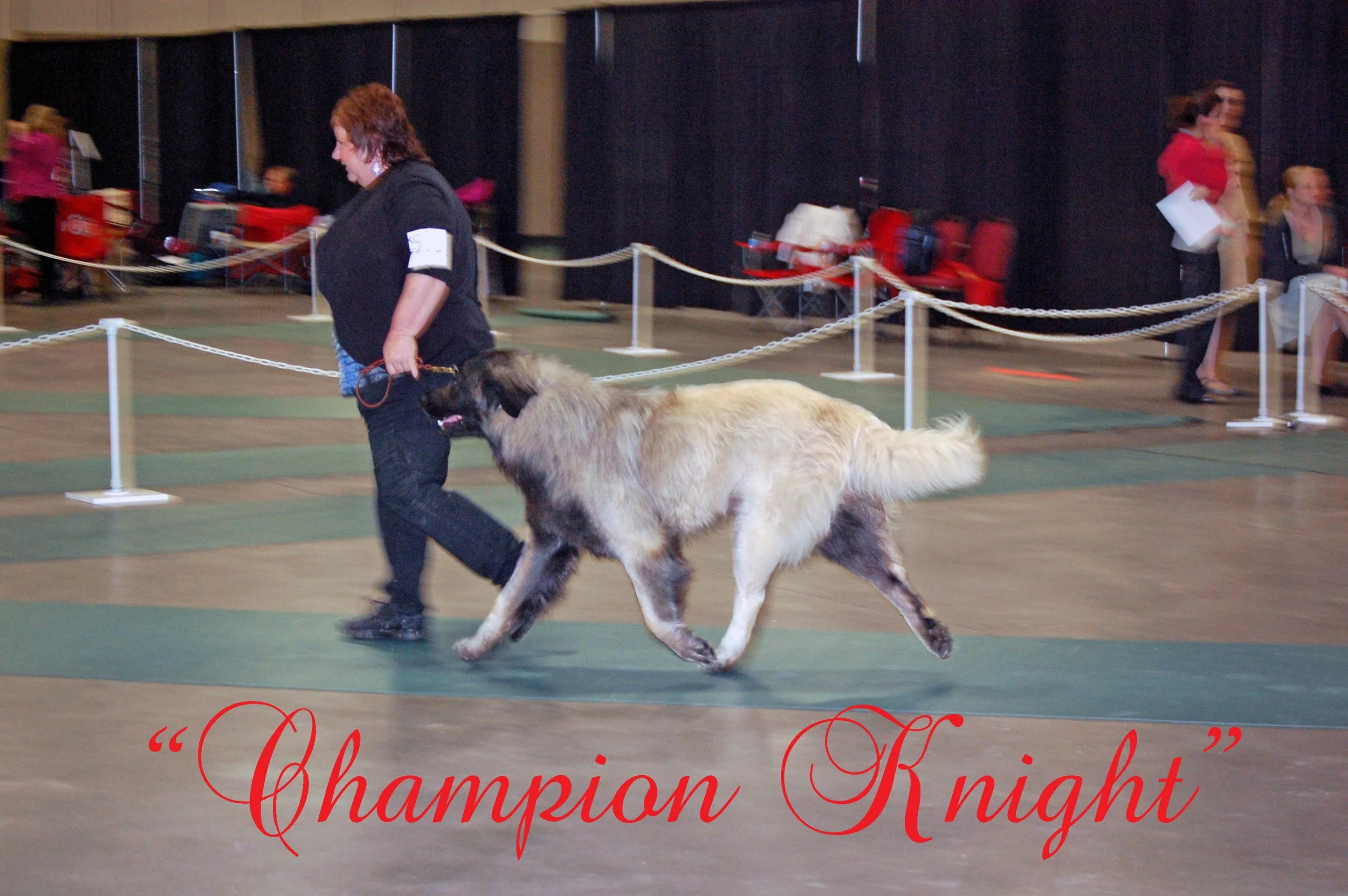 2013 Mar 29_2128_edited-1aa copy.jpg