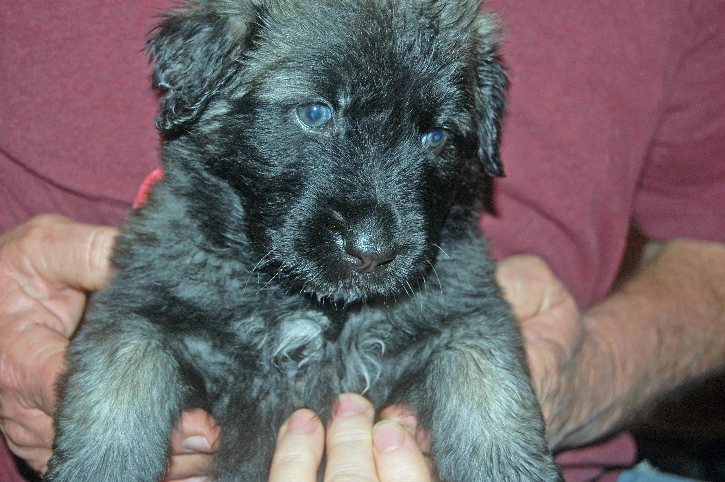 02 16_5560_edited-1.JPG