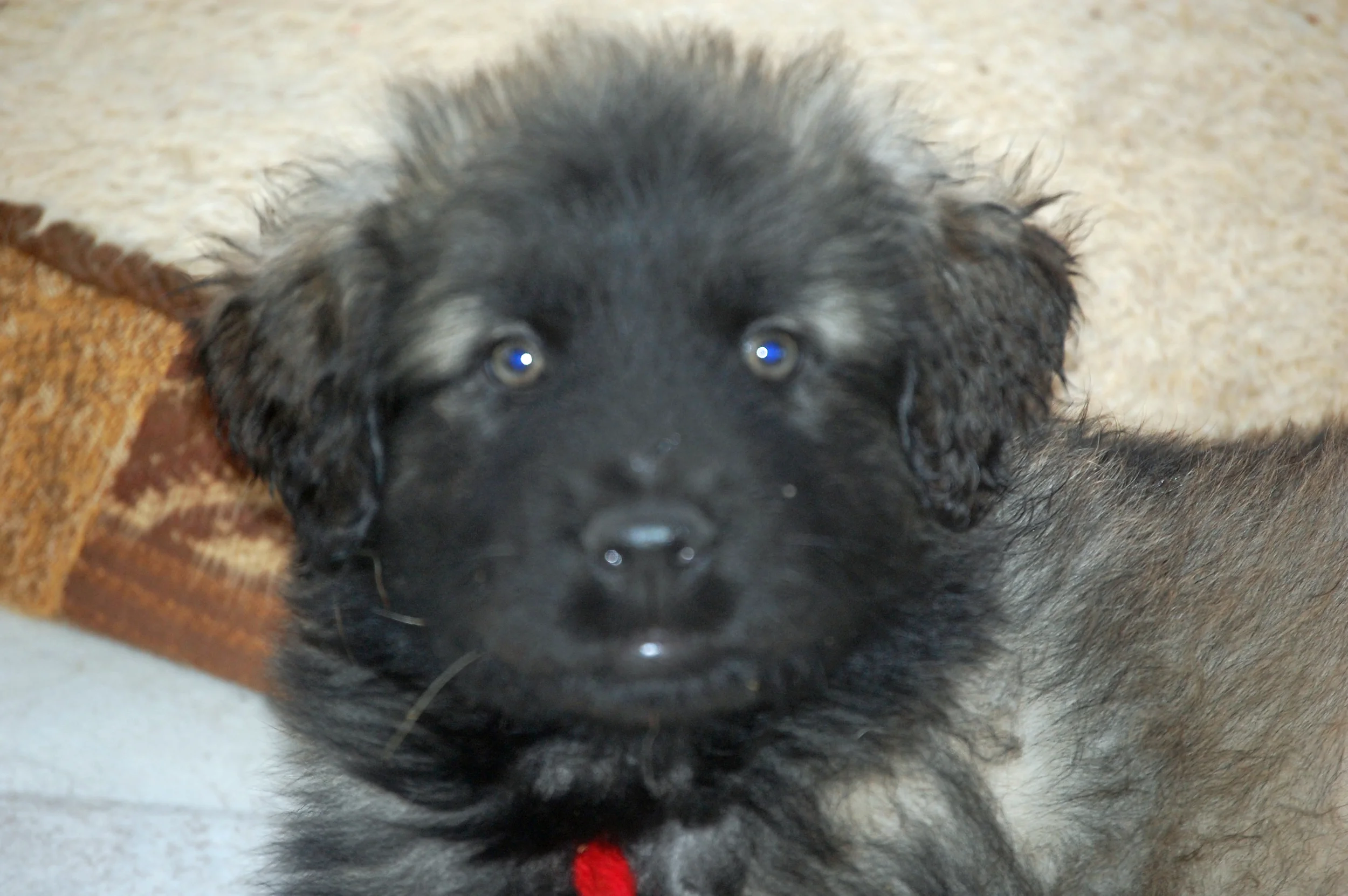 03 04_6170_edited-1.JPG