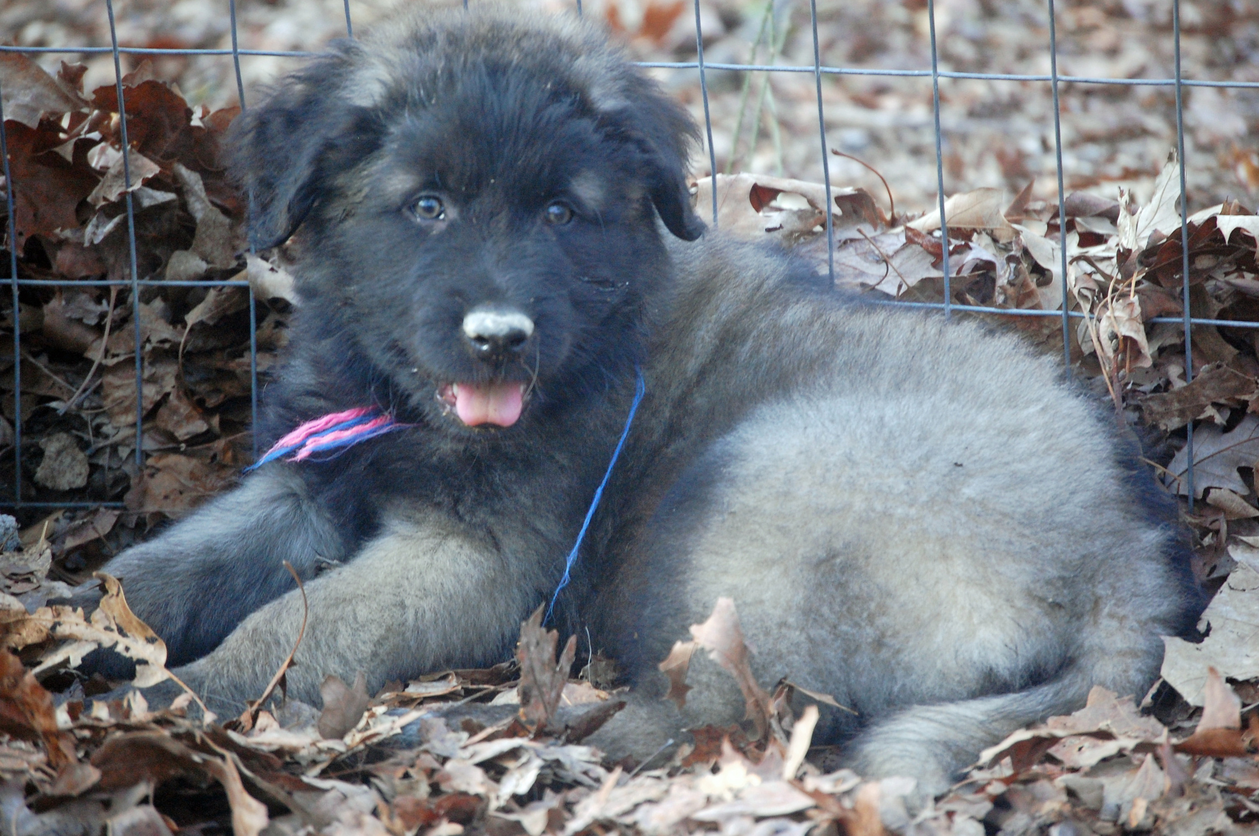 03 12_6534_edited-1.JPG