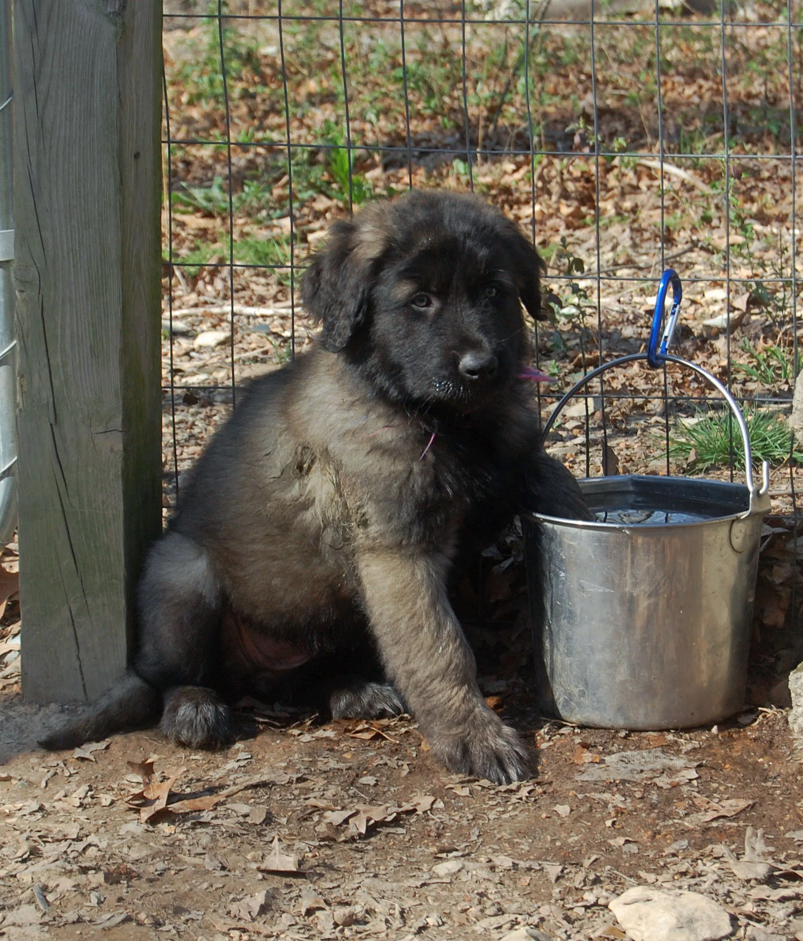 03 16_6663_edited-1.JPG